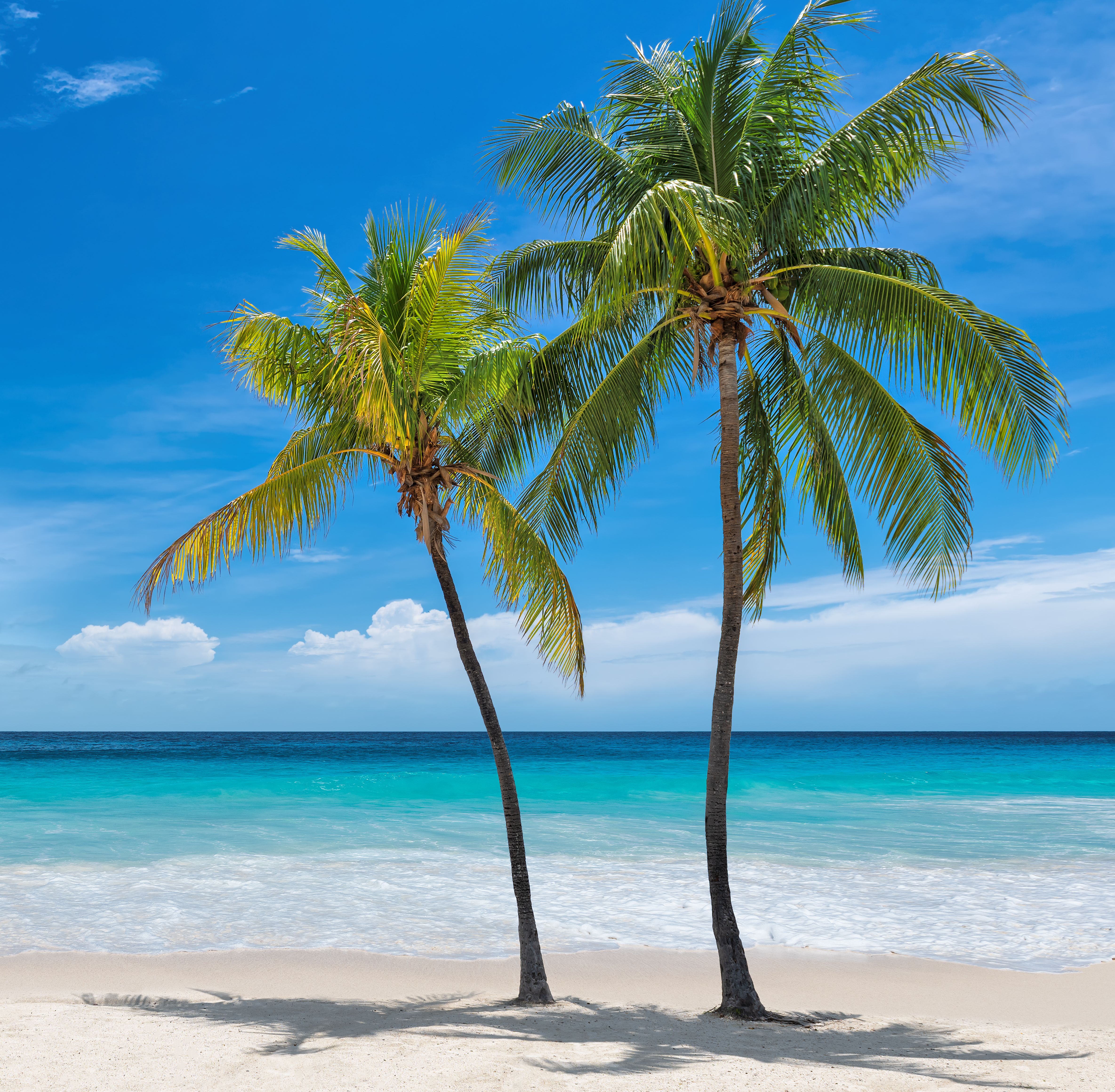 Amerika-Florida-Key-West-Paradise-Beach-