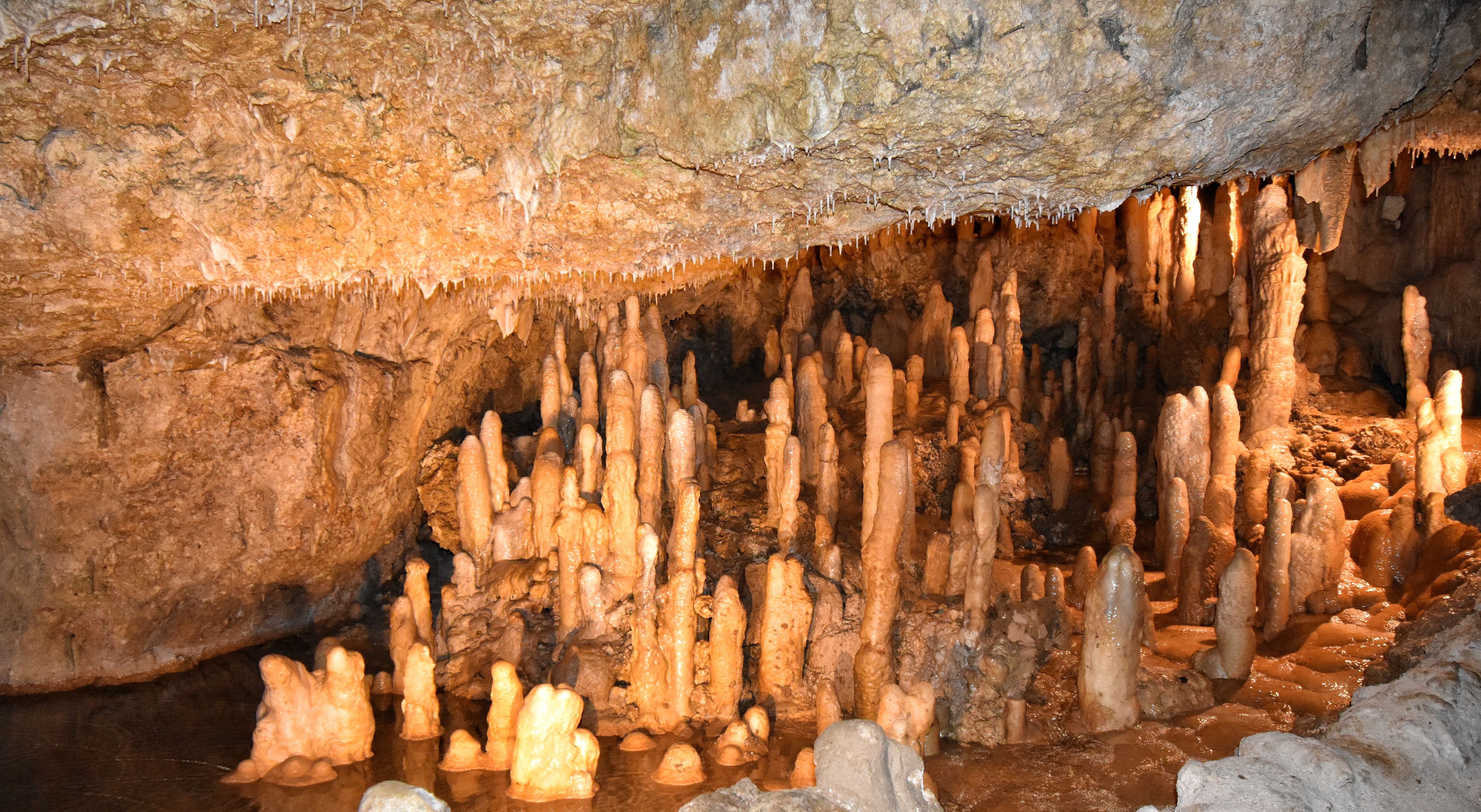 Barbados-Harrisons-Cave