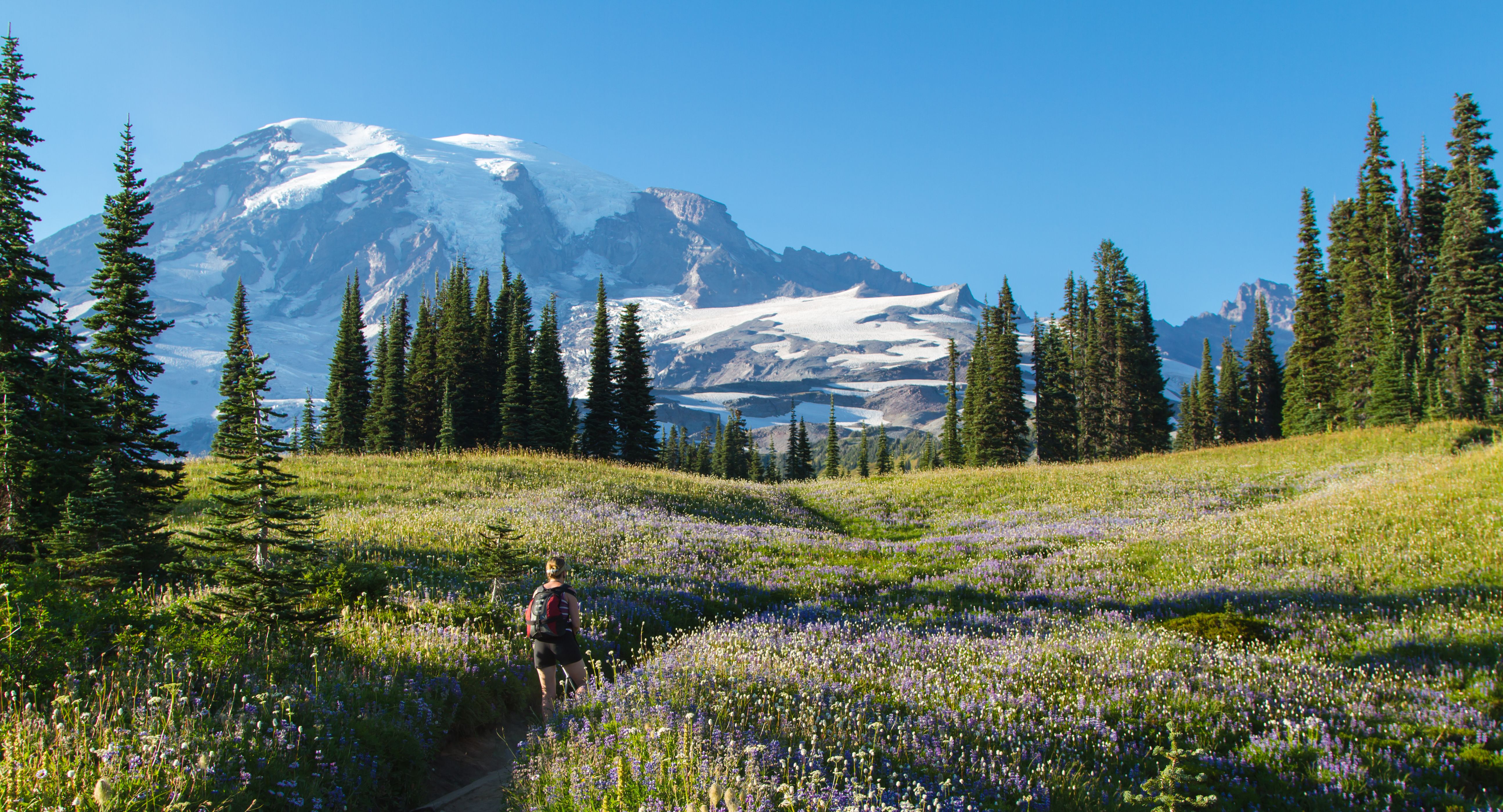 Amerika-Oregon-Mount-Rainier-National-Park-Hiking