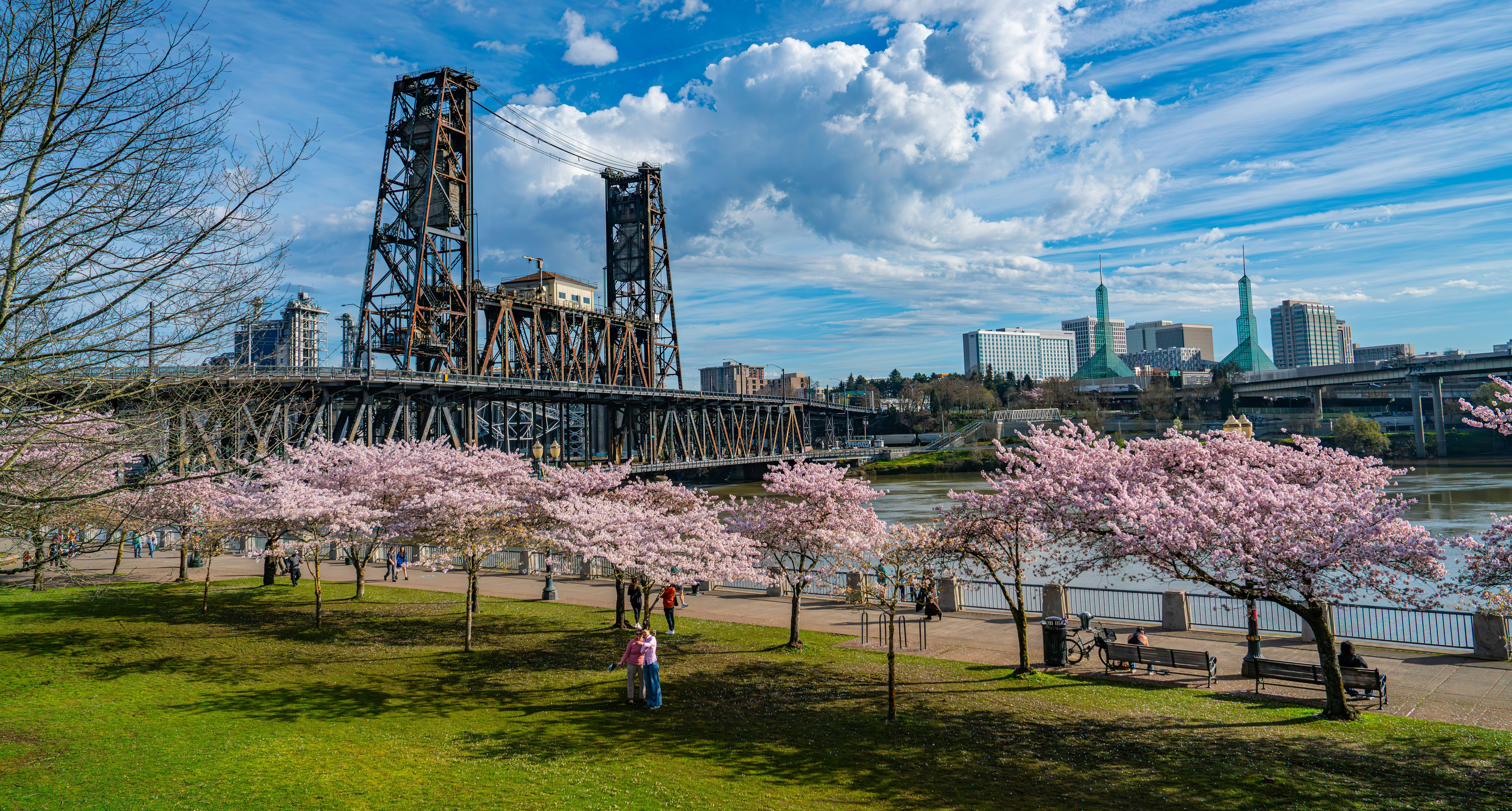 Amerika-Oregon-Portland-bruggen