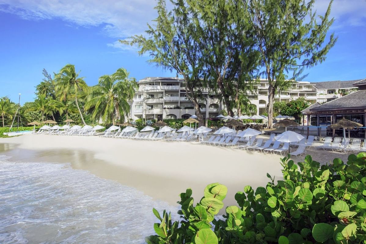 Barbados Zuidkust Christ Church Bougainvillea Barbados Strand