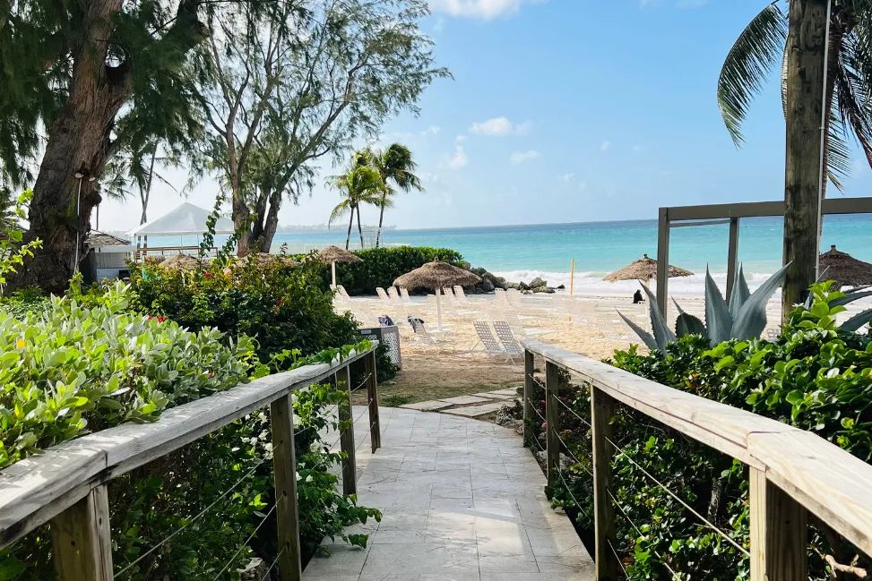 Barbados Zuidkust Christ Church Bougainvillea Barbados Strand
