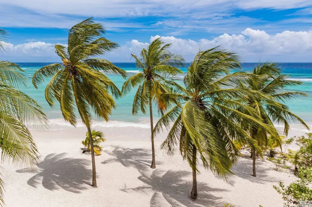 Barbados Zuidkust The Sands Strand