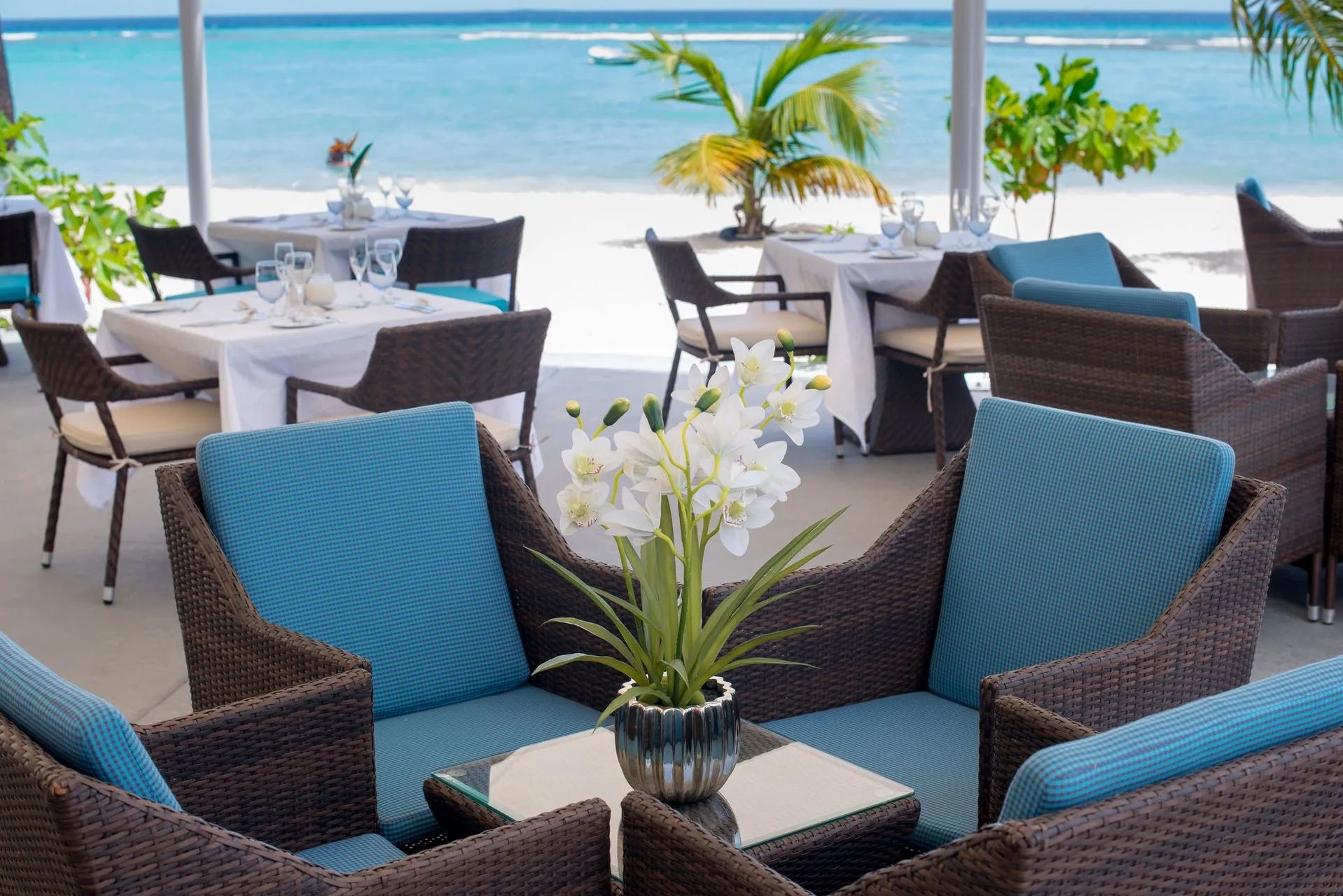 Barbados Zuidkust The Sands Terras