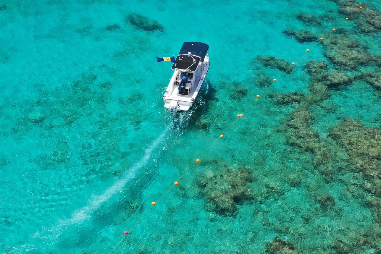 Barbados Westkust St Lucy Little Good Harbour Varen