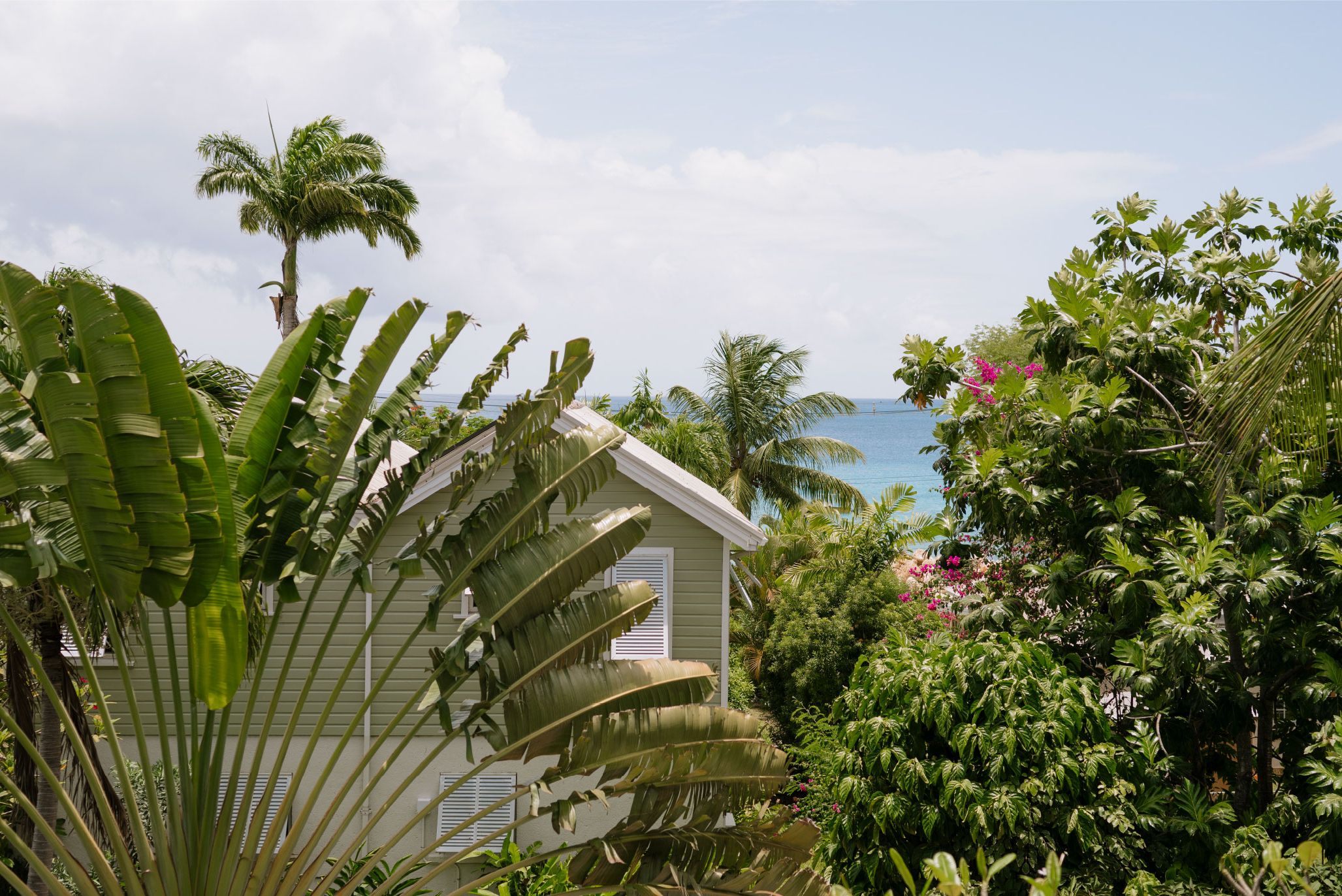 Barbados Westkust St Lucy Little Good Harbour Landschap