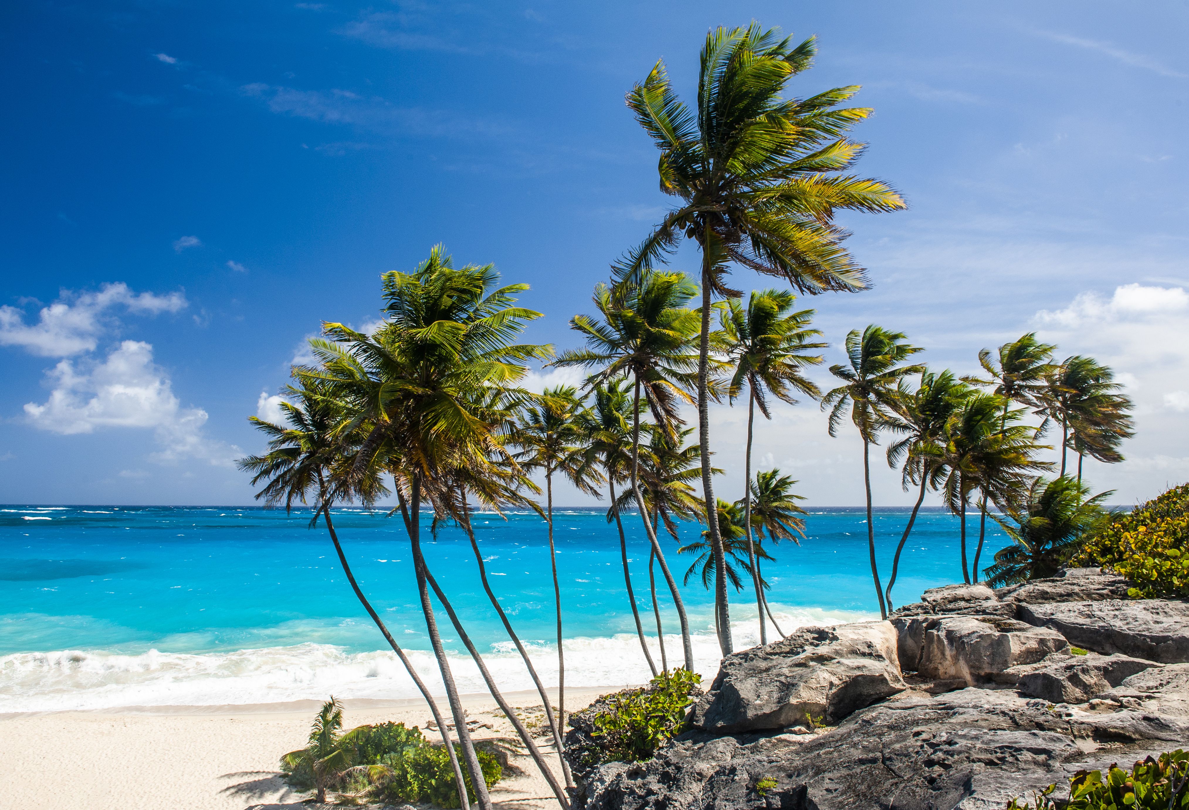 Barbados Bottom Bay Beach