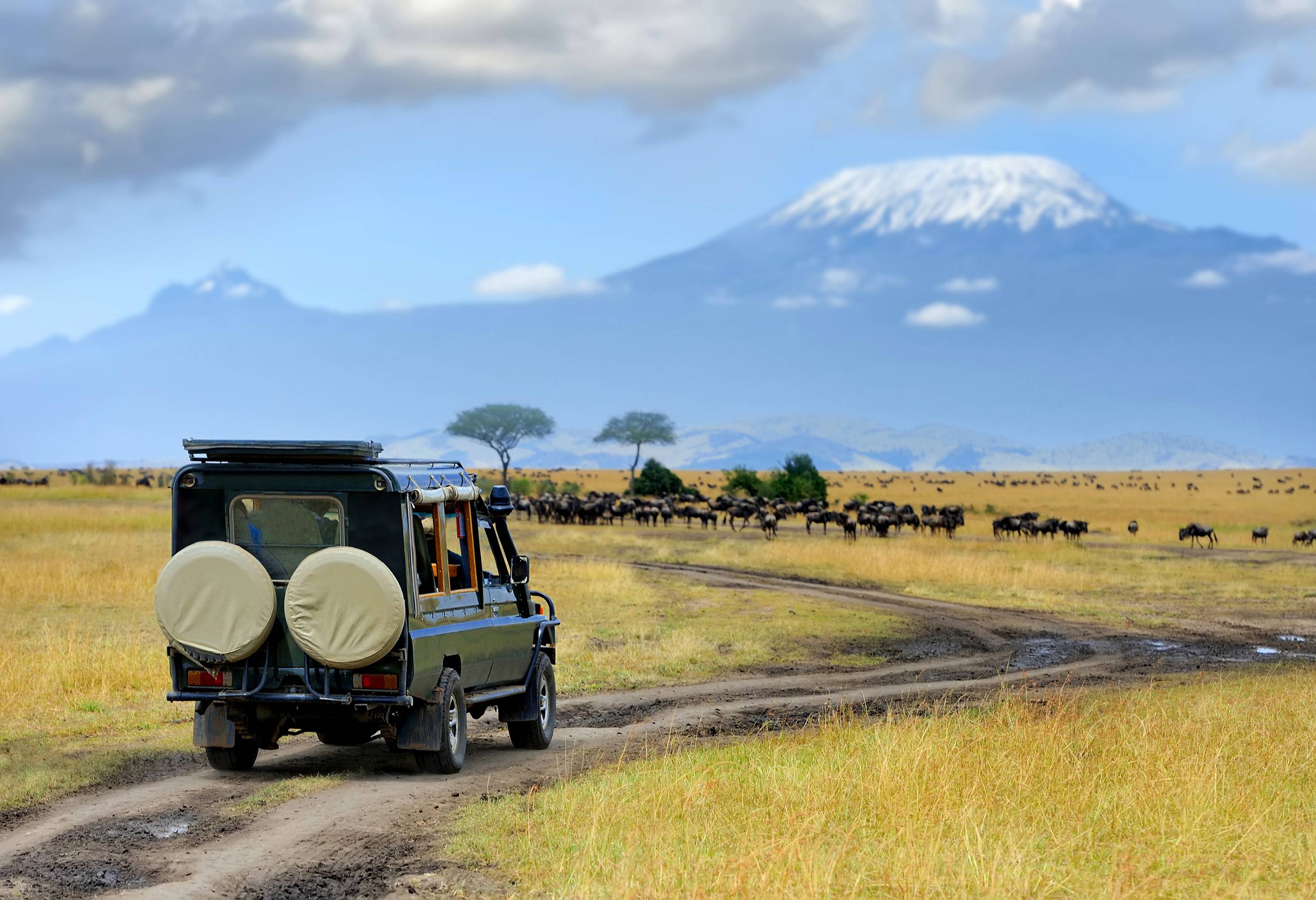 Safari in het Amboseli National Park in Kenia