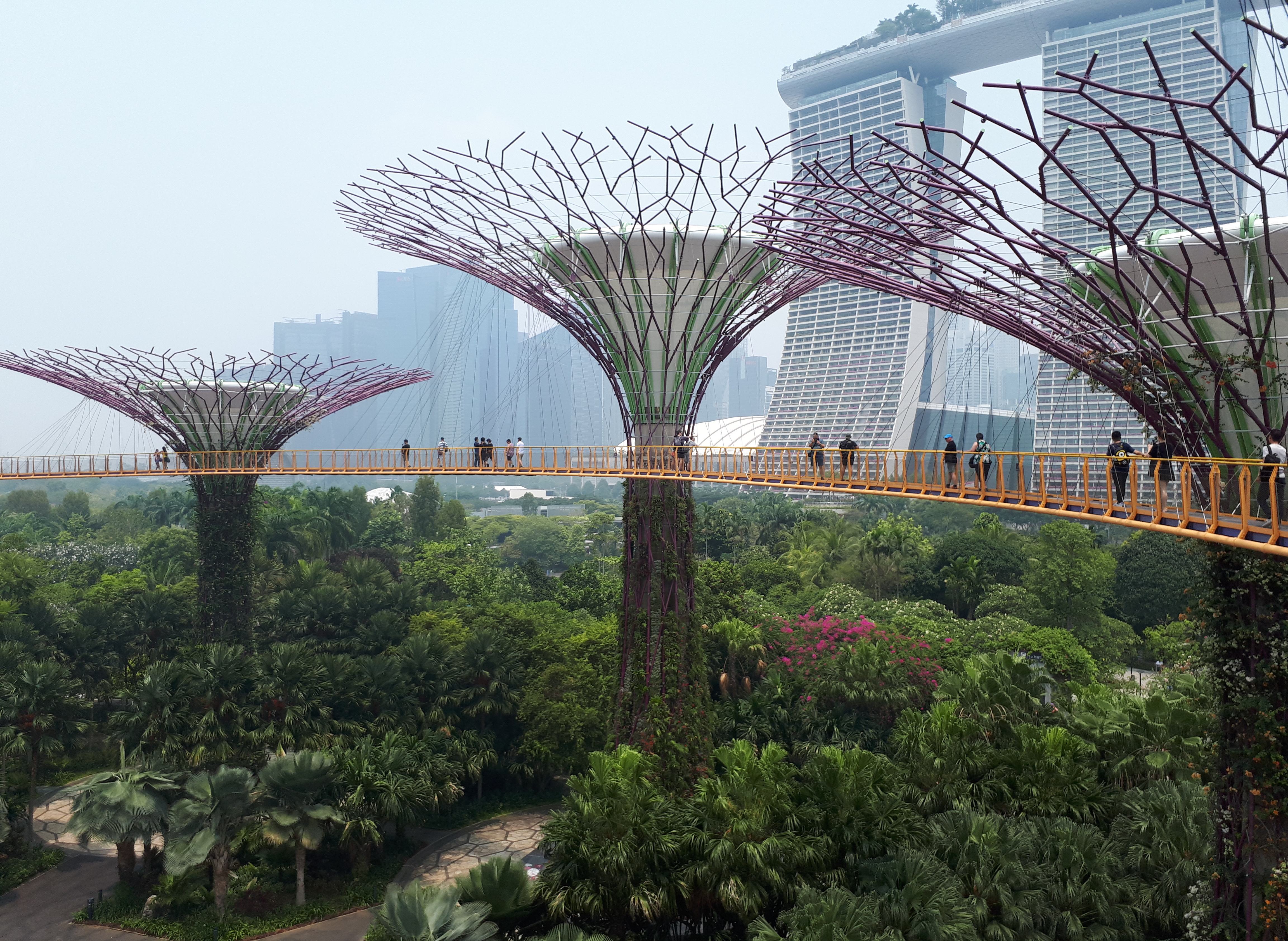 Gardens by the Bay