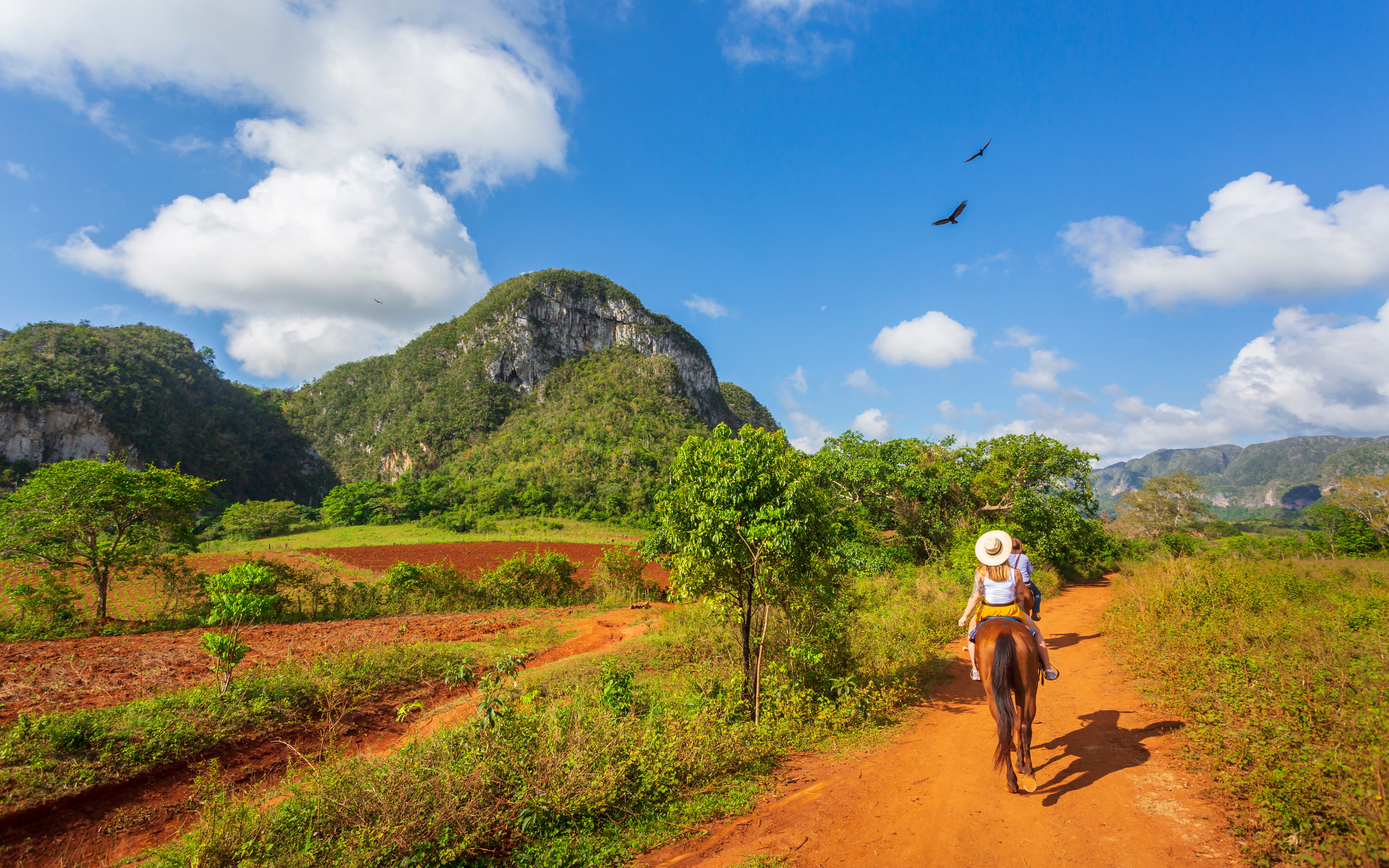cuba-pinar-del-rio-vinales-valley-paardrijden