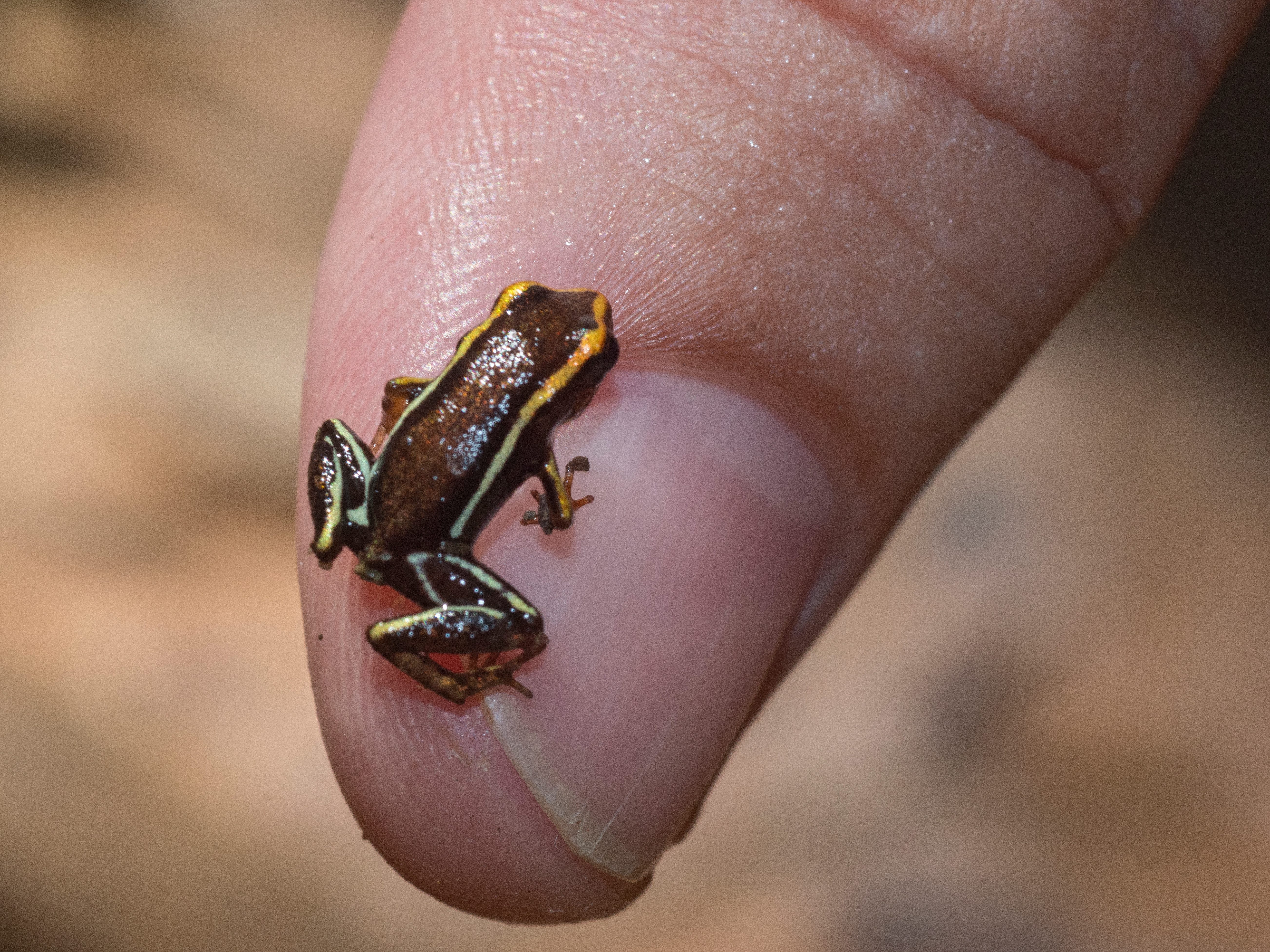 Humboldt National Park