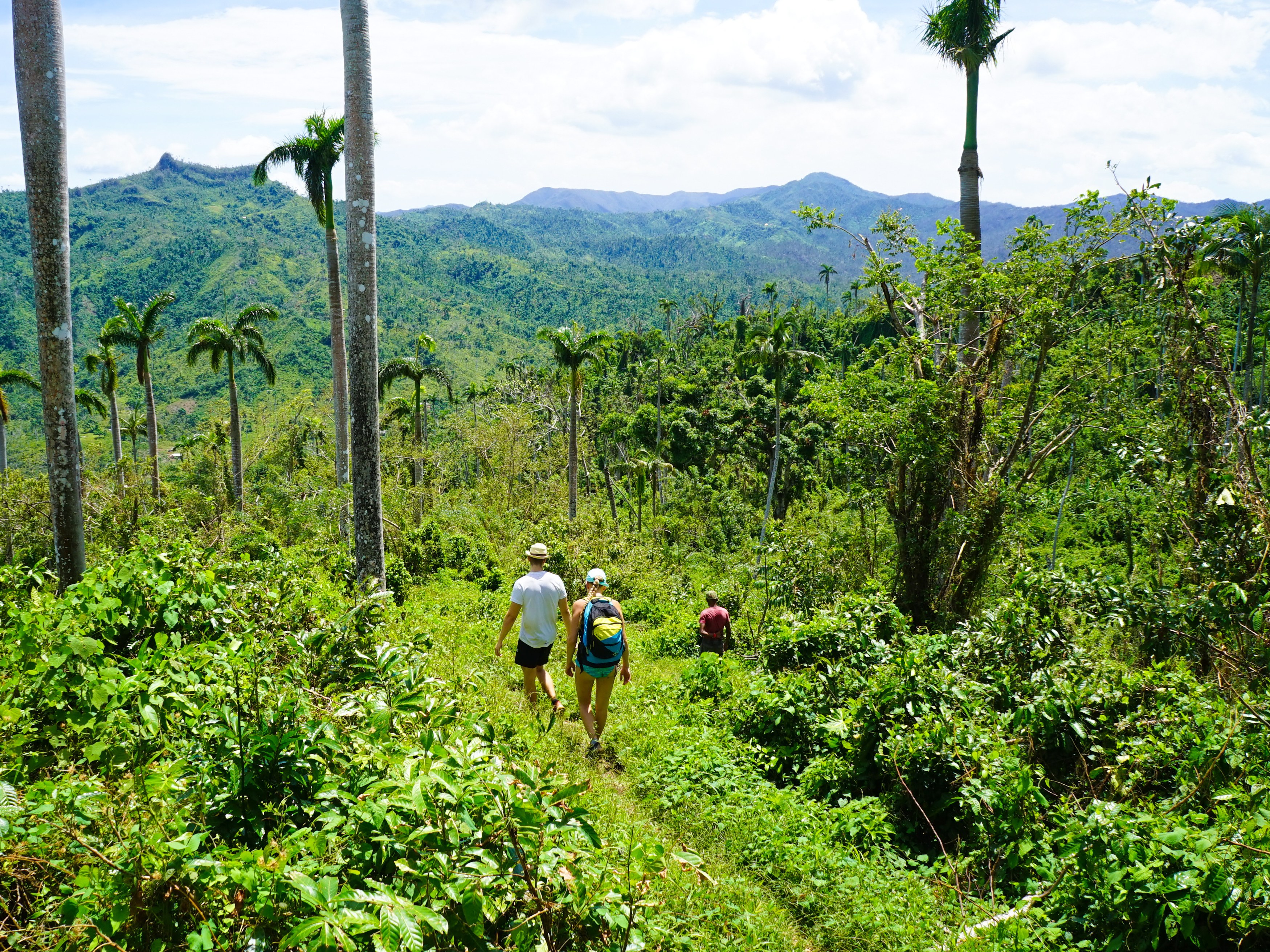 cuba-baracoa-wandeling-tafelberg