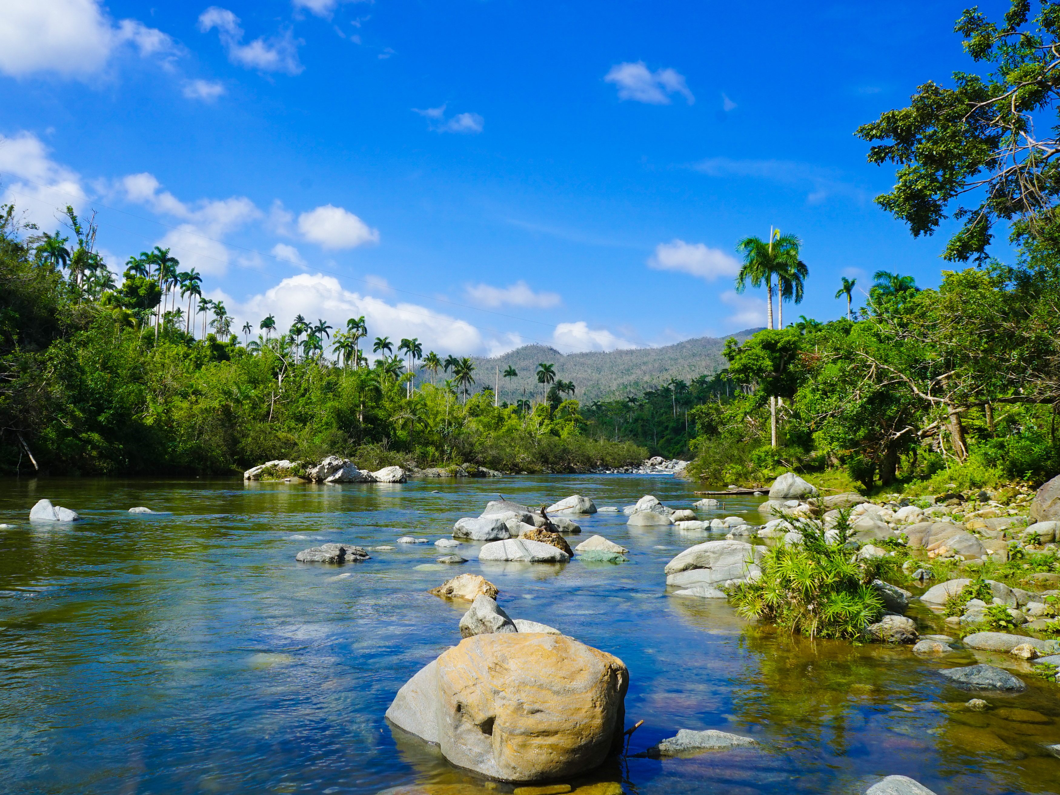 cuba-baracoa-wandeling-tafelberg