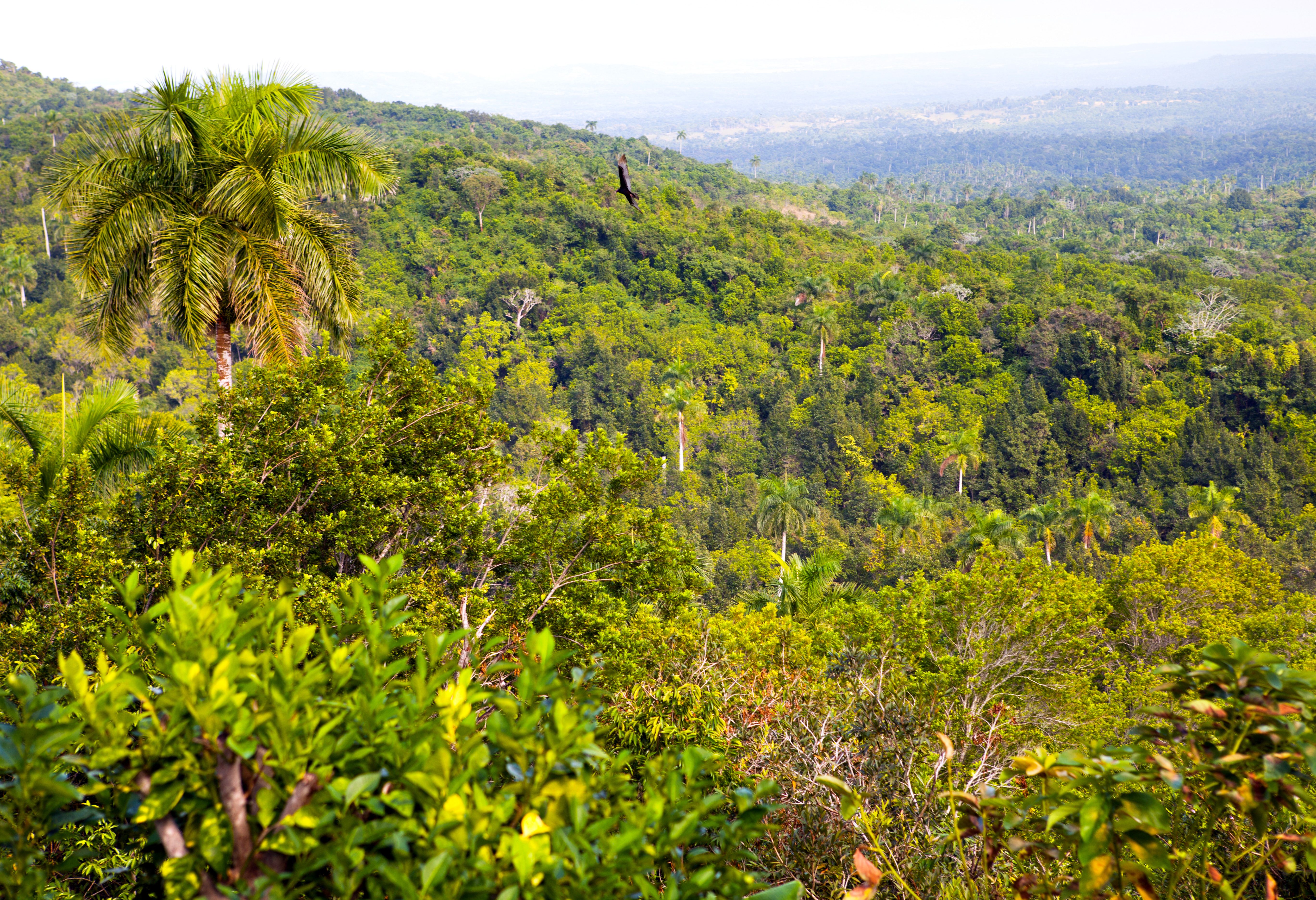 Uitzicht over Las Terrazas in Cuba