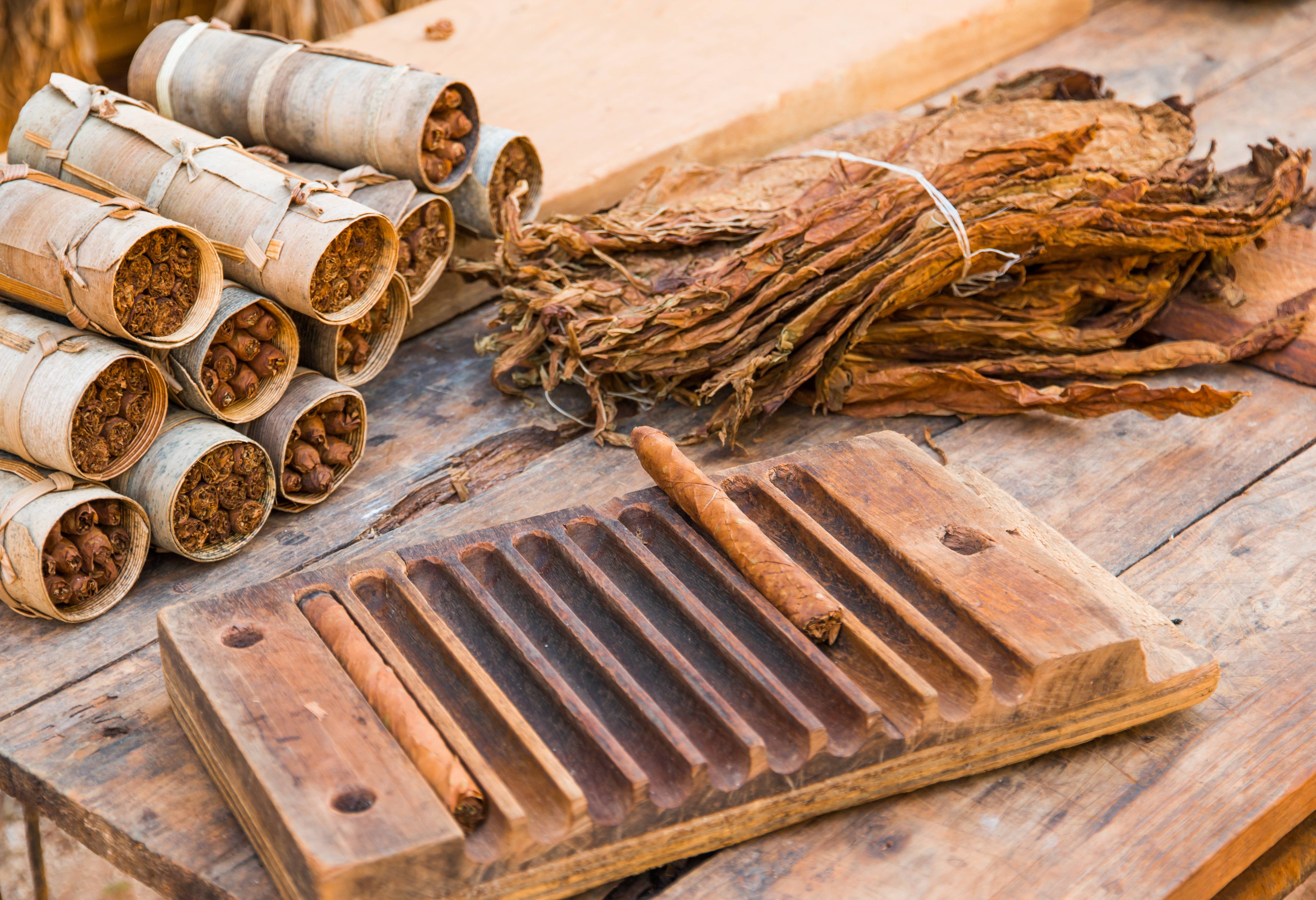 Sigaren rollen in Vinales in Cuba