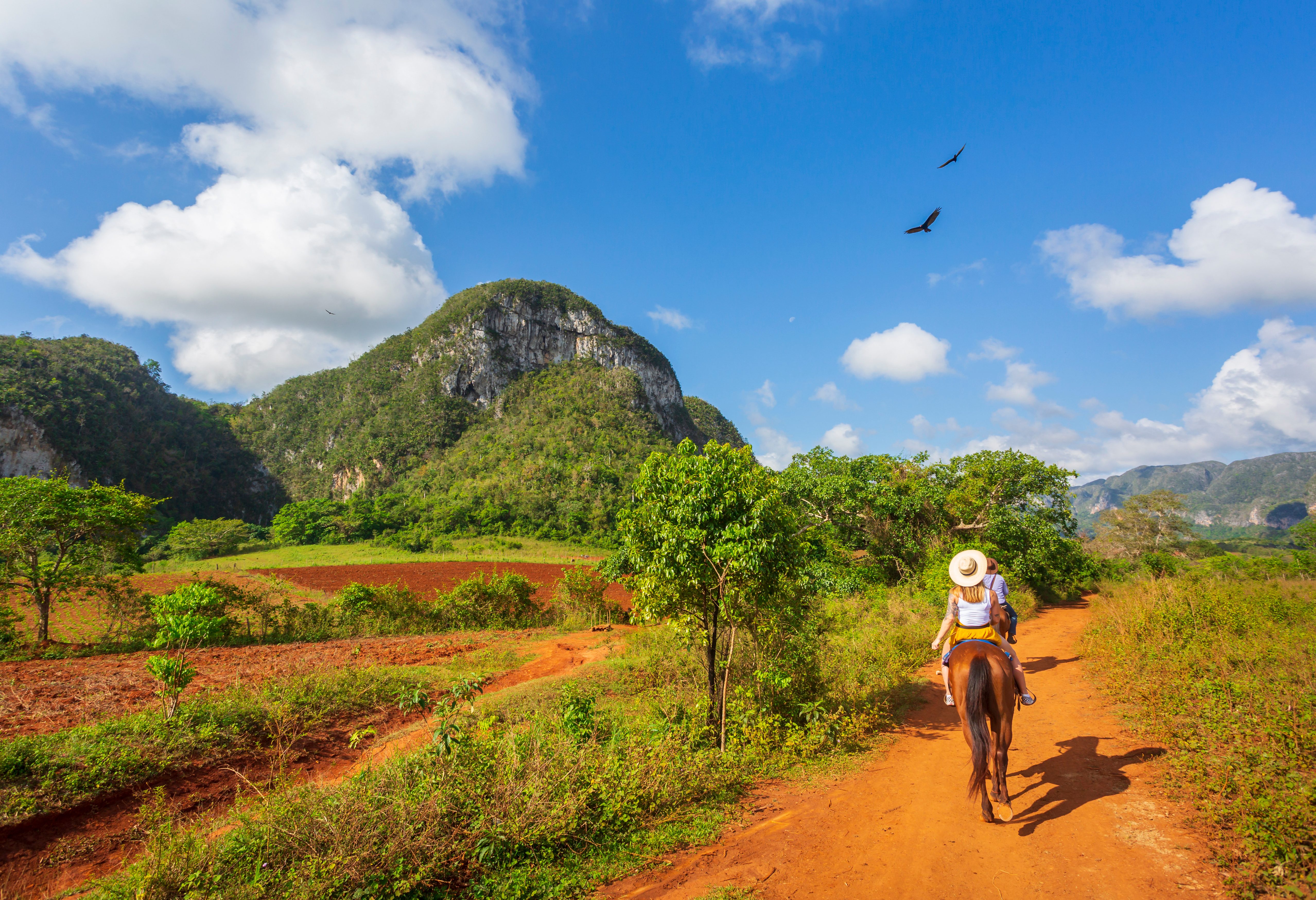 Optionele excursie paardrijden in de Vinales Vallei in Cuba
