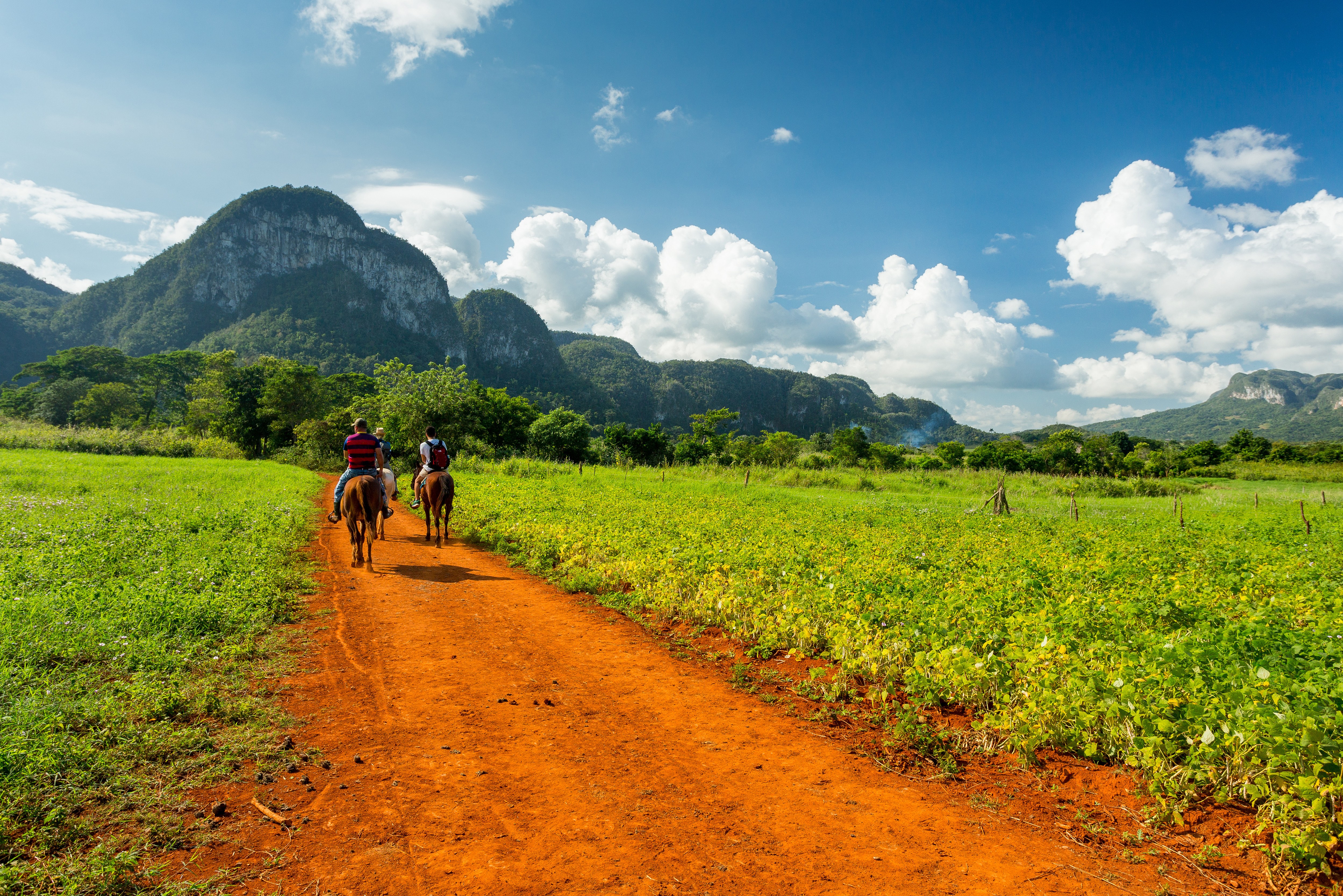 Paardrijden in de Vinales Vallei in Cuba