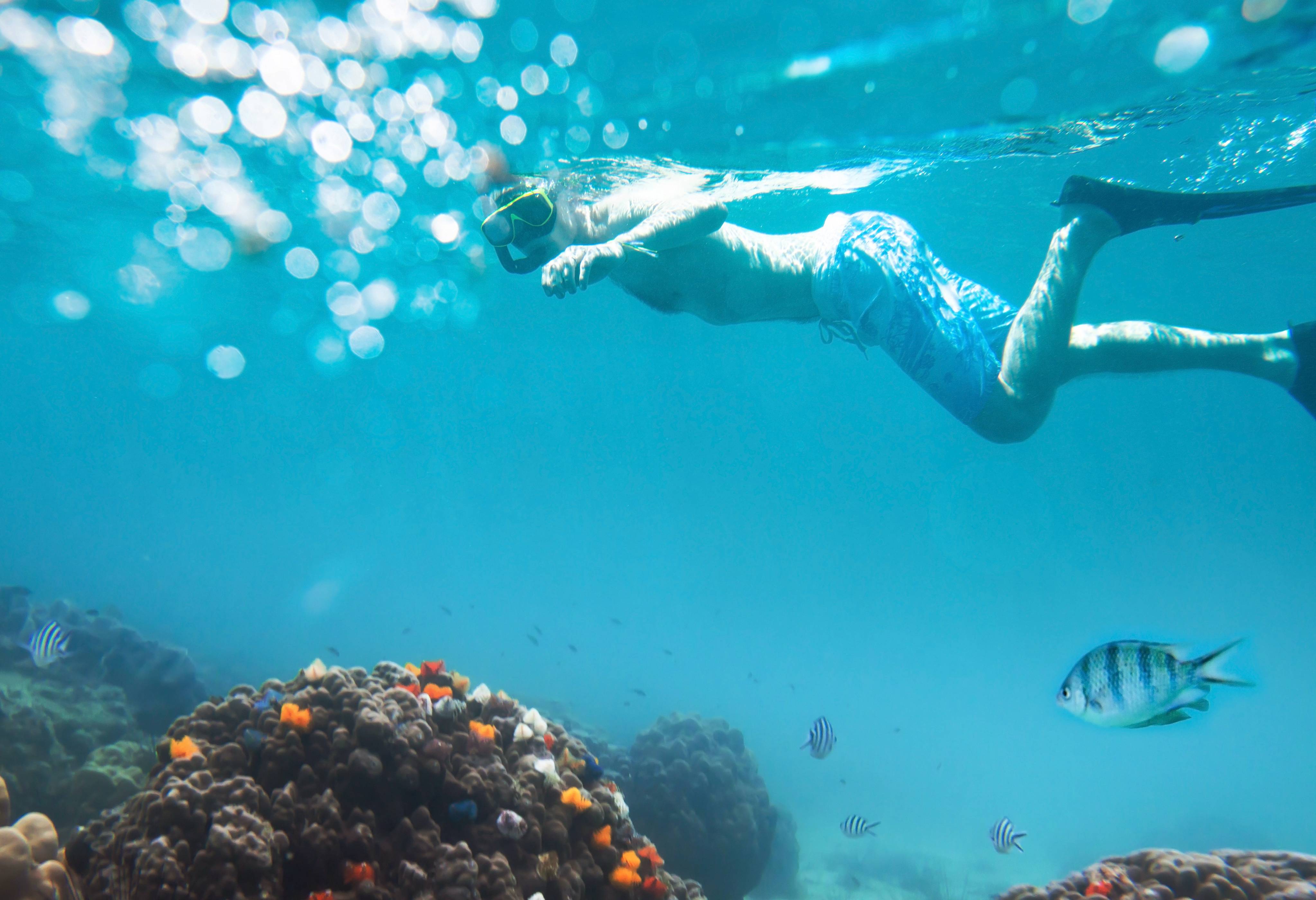Snorkelen in de Varkensbaai in Cuba