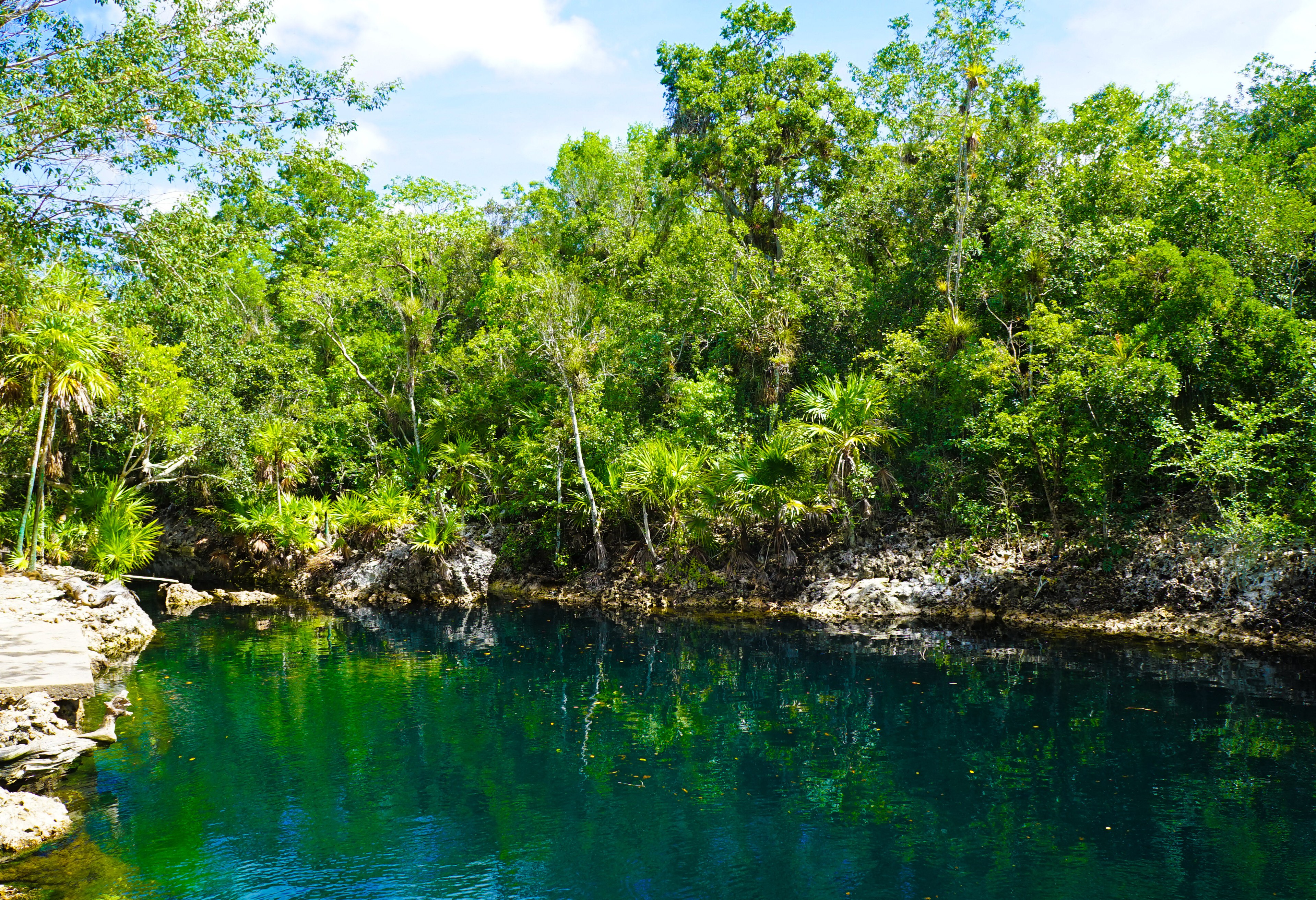 Cueva de los Peces in de Varkensbaai in Cuba