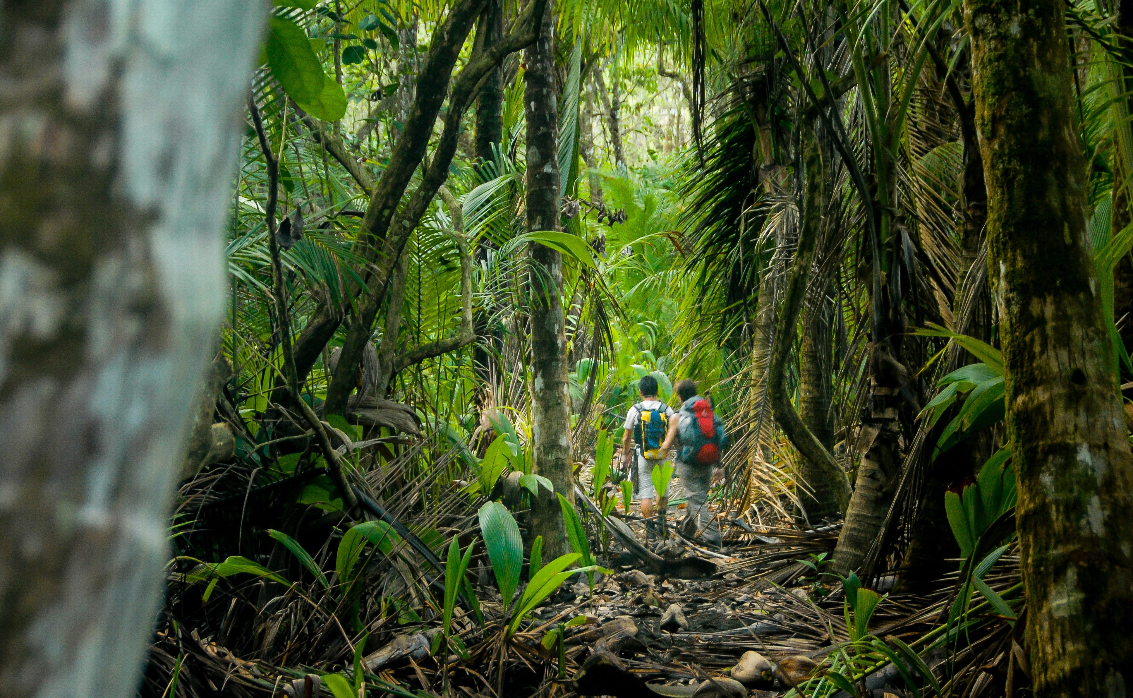 Corcovado National Park