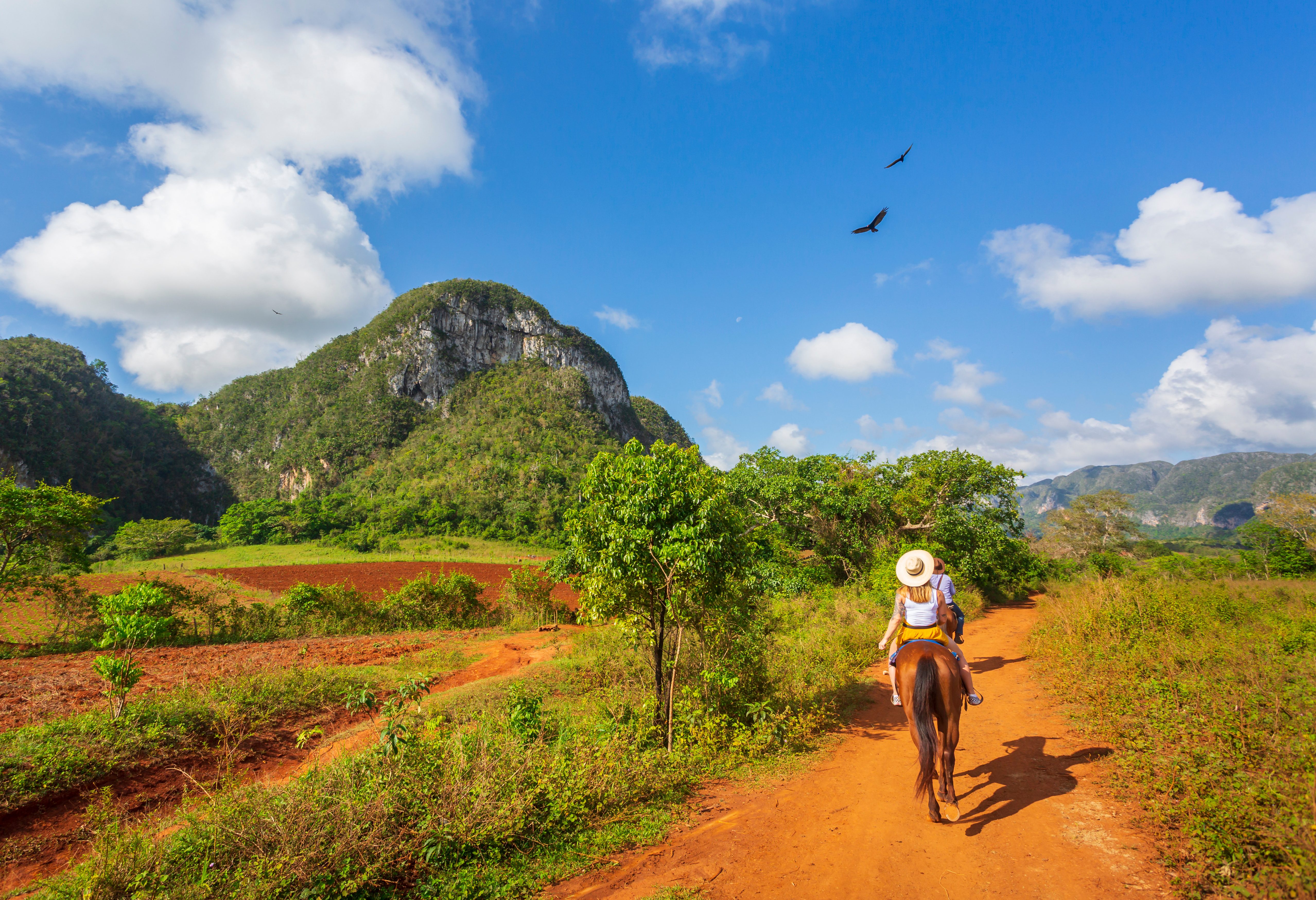 Paardrijden in de Vinales Vallei in Cuba