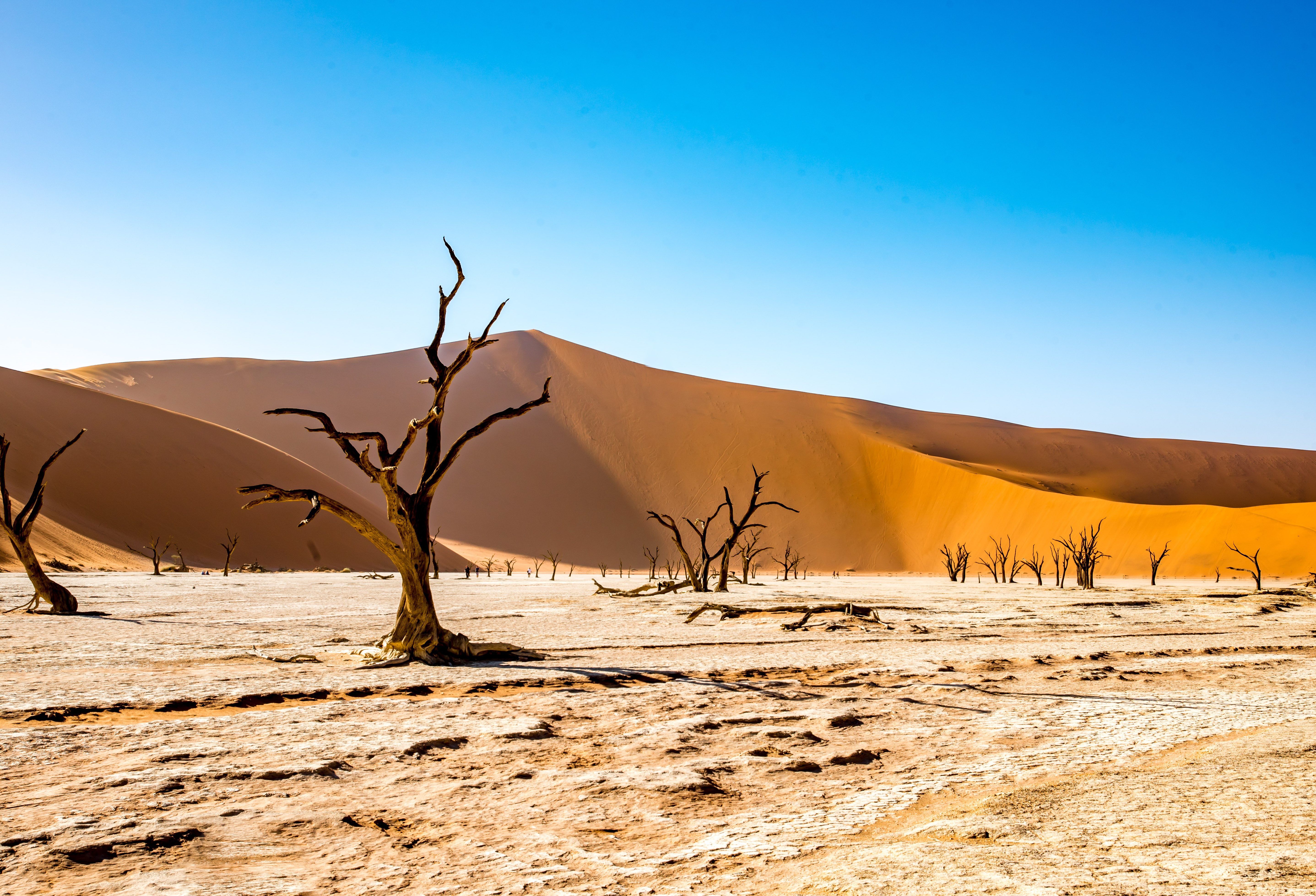Самая сухая пустыня в африке. Пустыня Намиб, Африка, Намибия. Намибия Калахари. Плато Соссусфлей, Намибия. Deadvlei Намибия.
