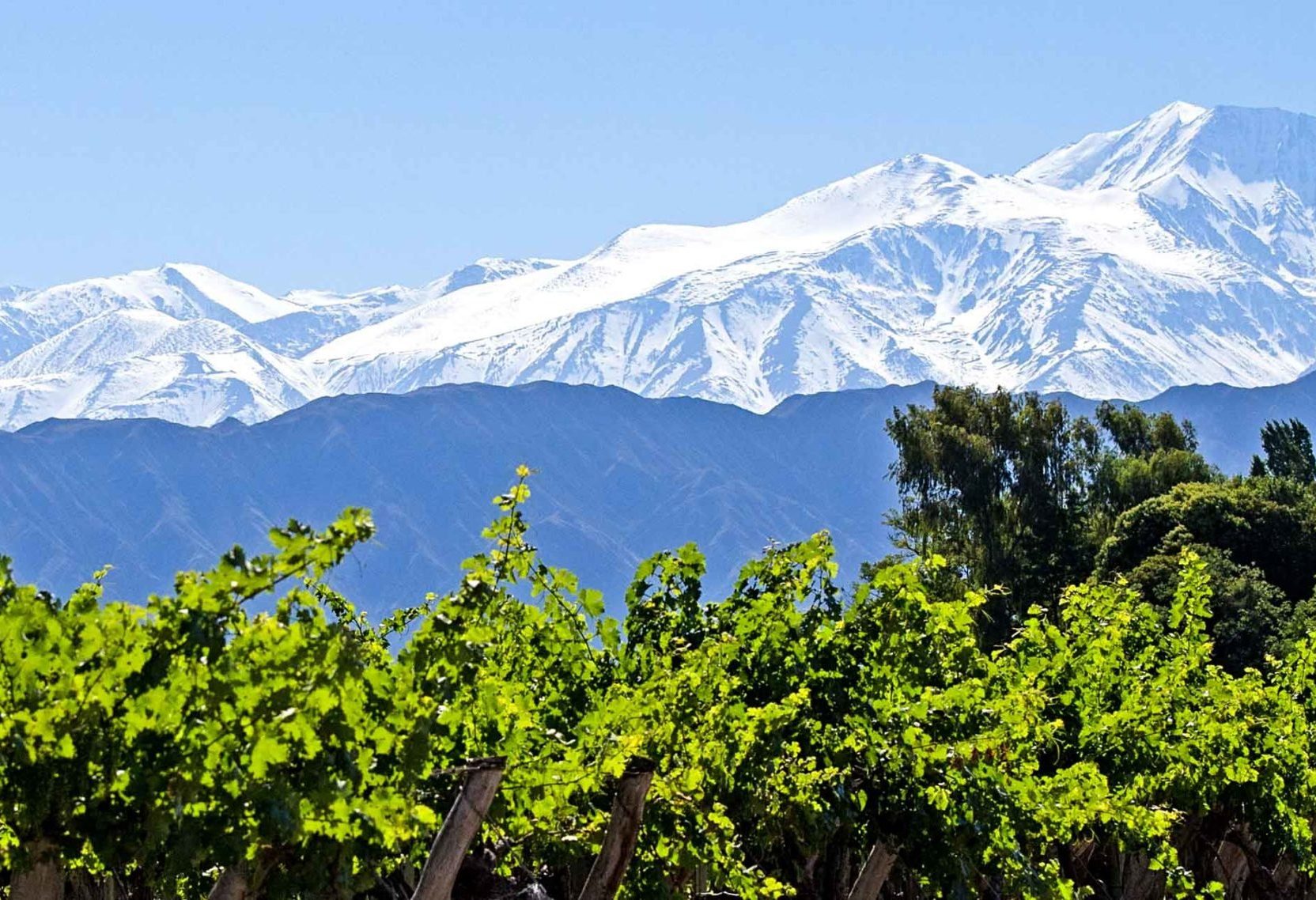 Mendoza in Argentinië