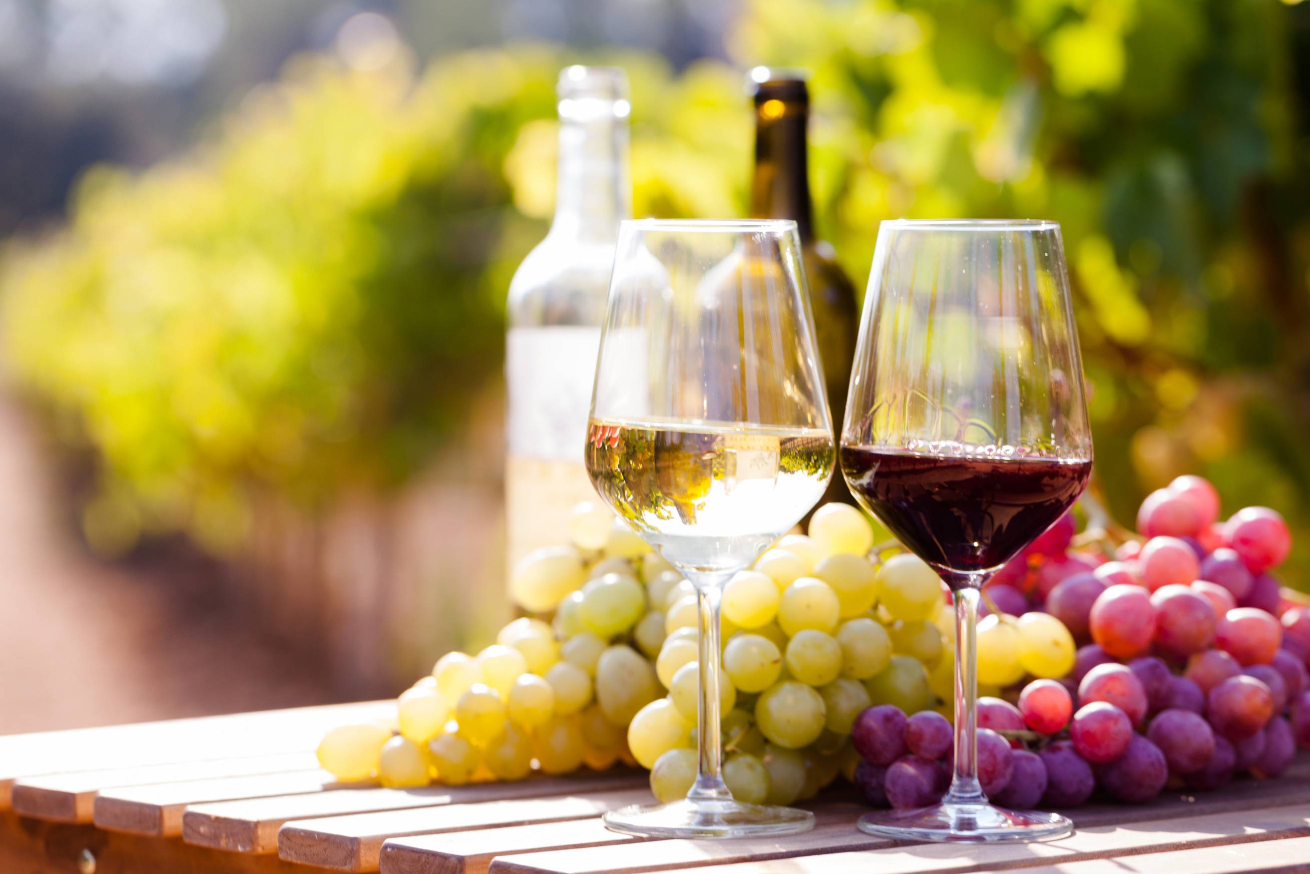 Wijngaard bij Cafayate in Argentinië