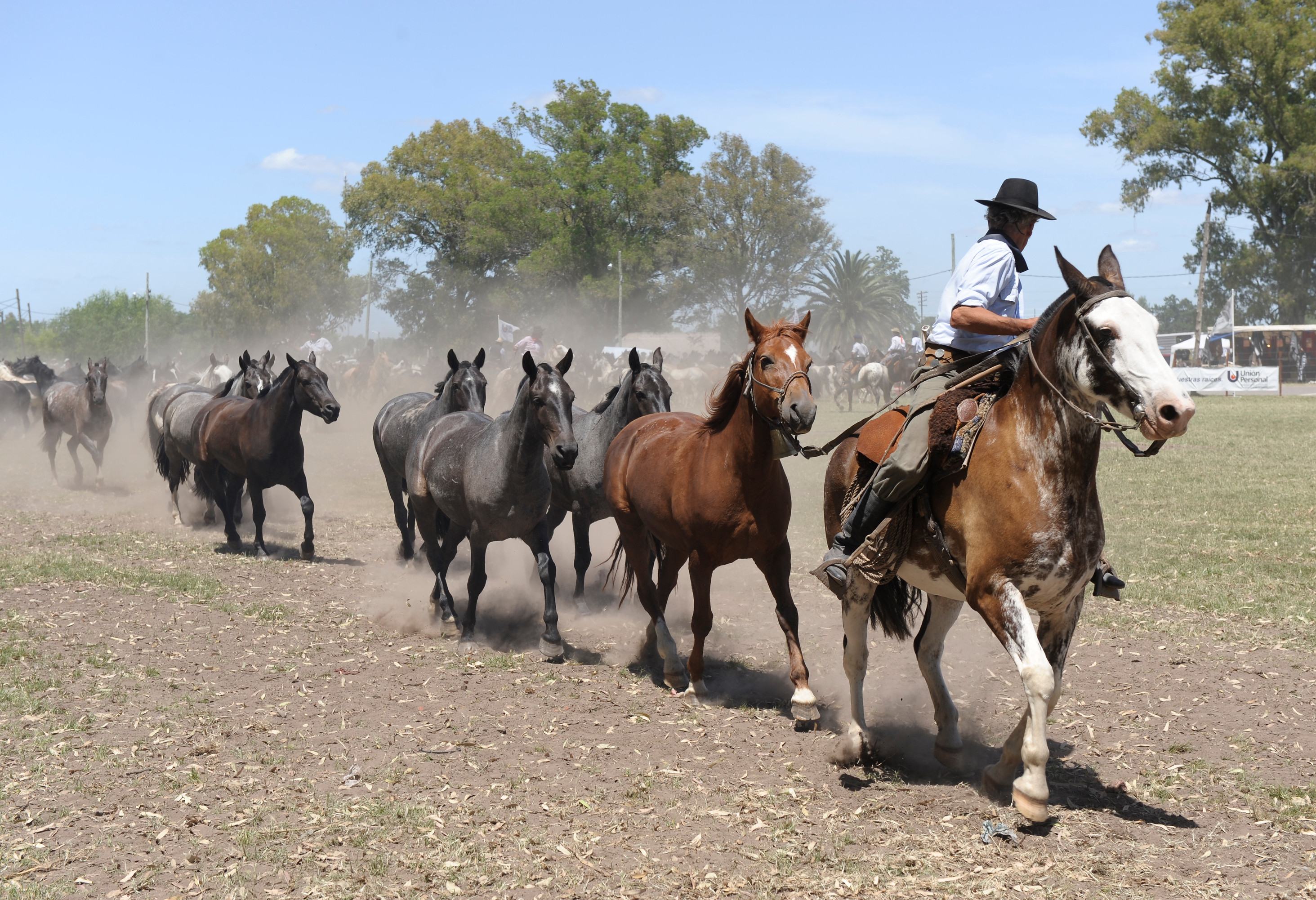Gaucho in Argentinië