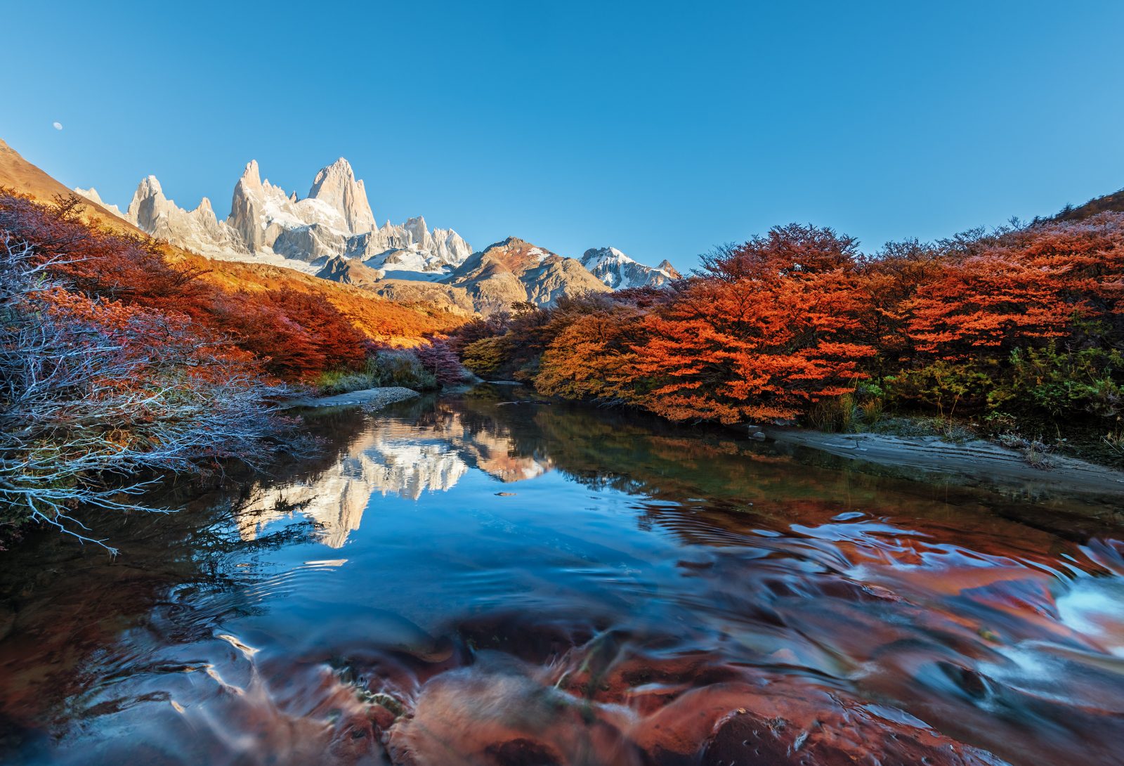 Highlights Vuurland En Gletsjers Van Patagoni 16 Dagen 333travel   Argentinie Patagonia El Chalten Herfst Uitzicht Vanaf Het Pad Op Mount Fitz Roy 1600 