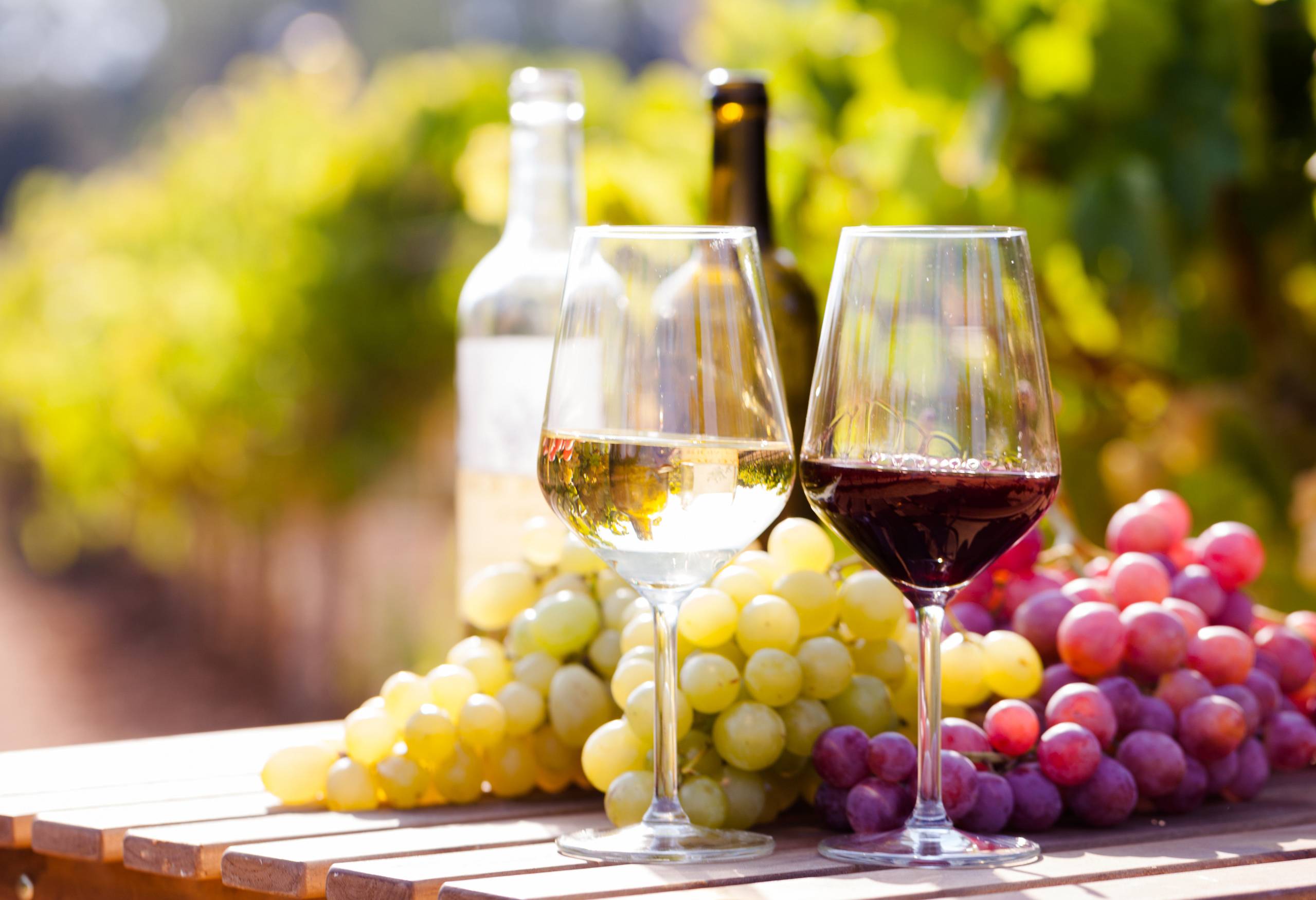 argentinie-cafayate-wijngaard-wijn