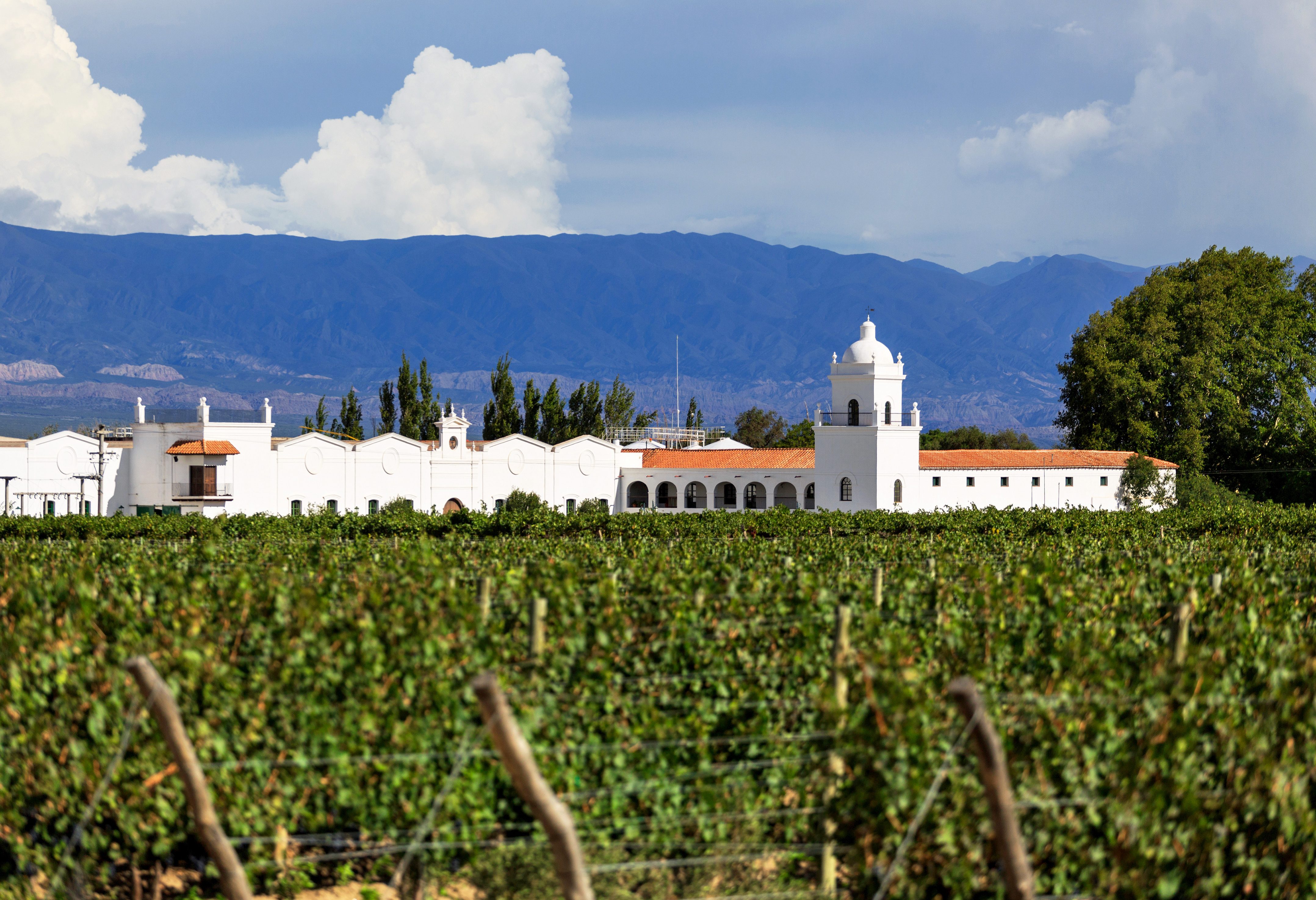 argentinie-cafayate-wijngaarden-met-bergen-op-de-achtergrond-2