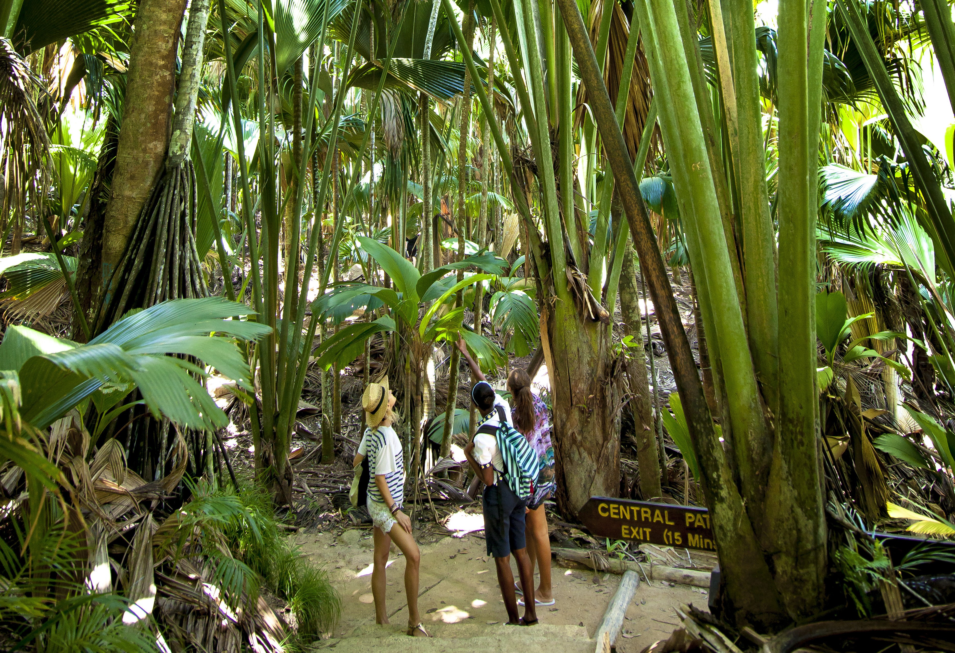 Vallée de Mai op Praslin in de Seychellen
