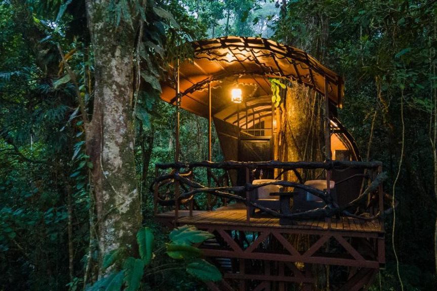 3-daagse tour in een boomhut in de jungle van Rica - 333travel