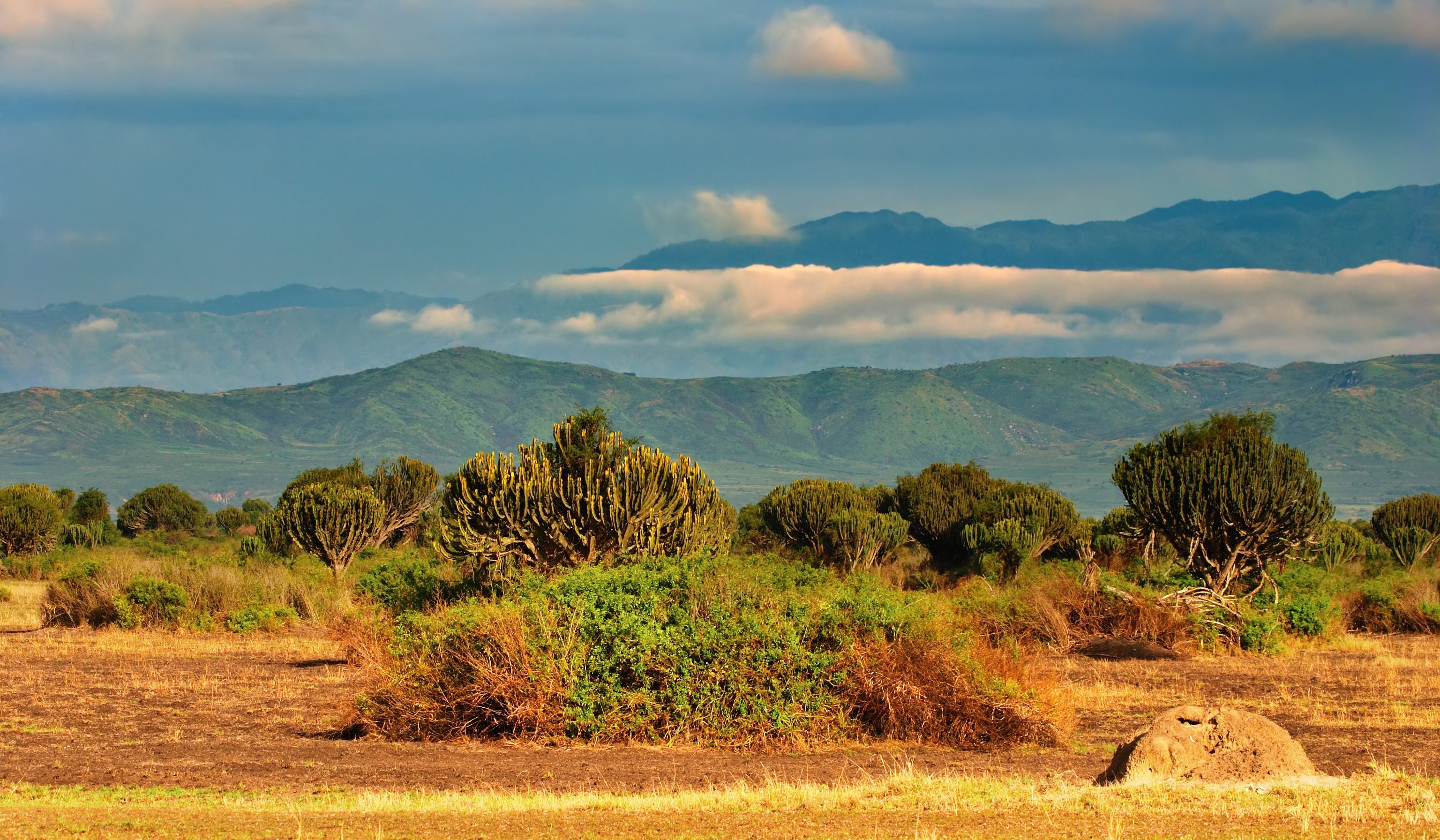 Uganda-Queen-Elizabeth-NP
