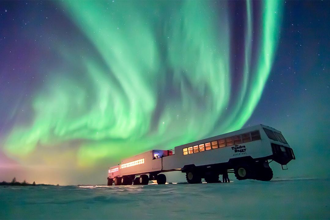 Cananda-churchill-dans-diner-noorderlicht