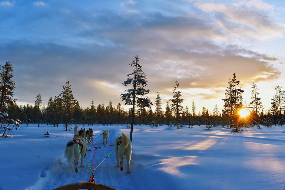 Canada-Churchill-hondesleetocht