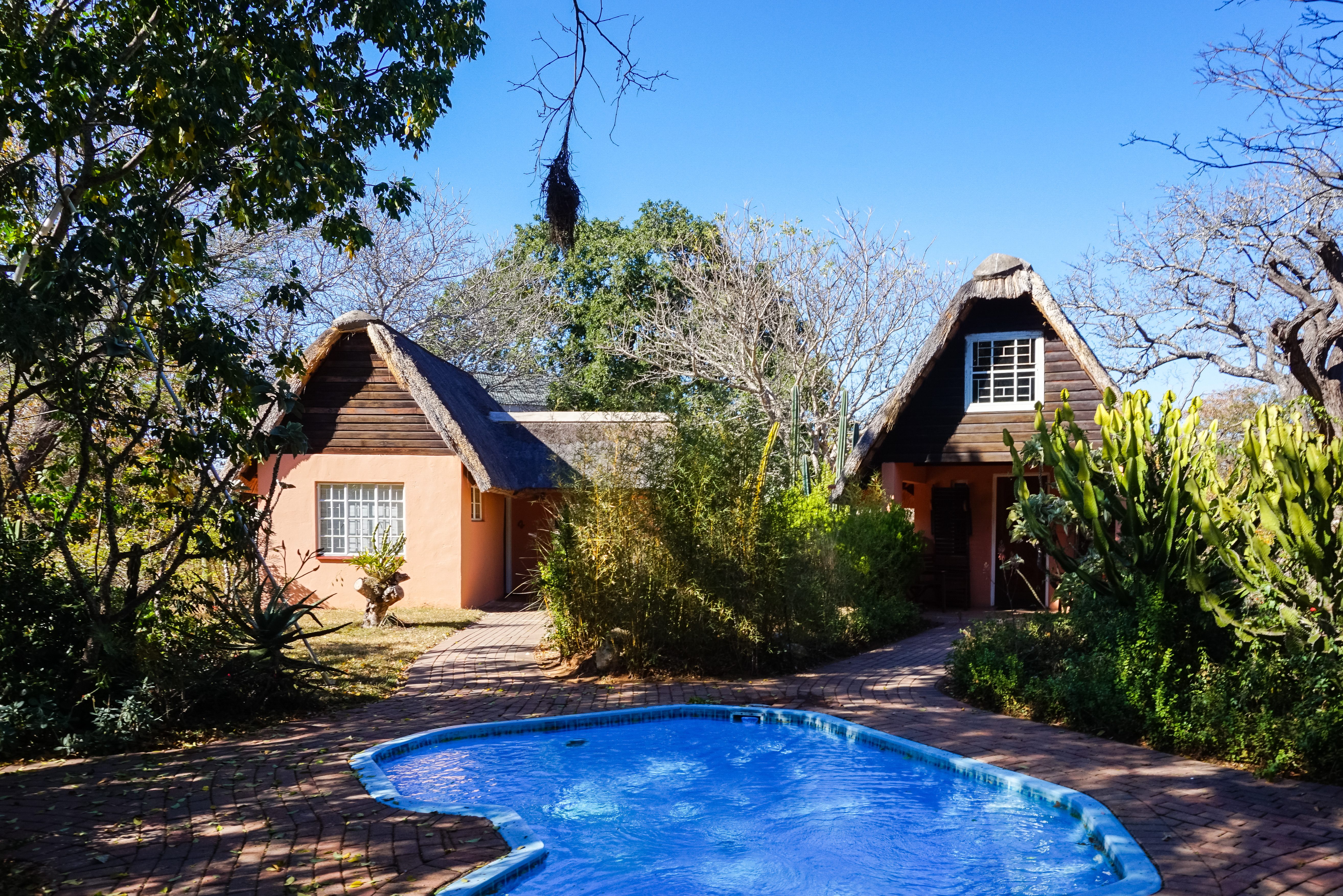 Nsele Lodge in Zuid-Afrika