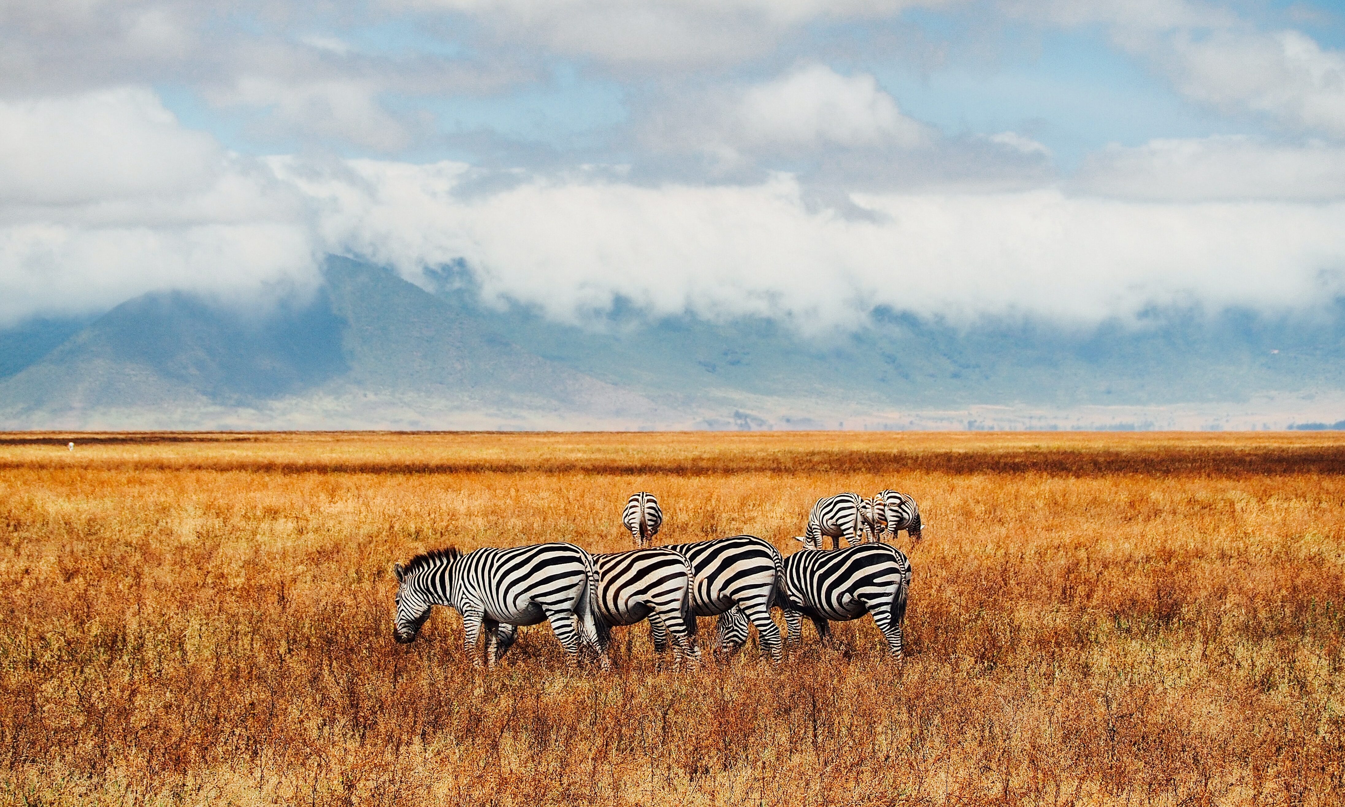 Ngorongoro Krater Tanzania