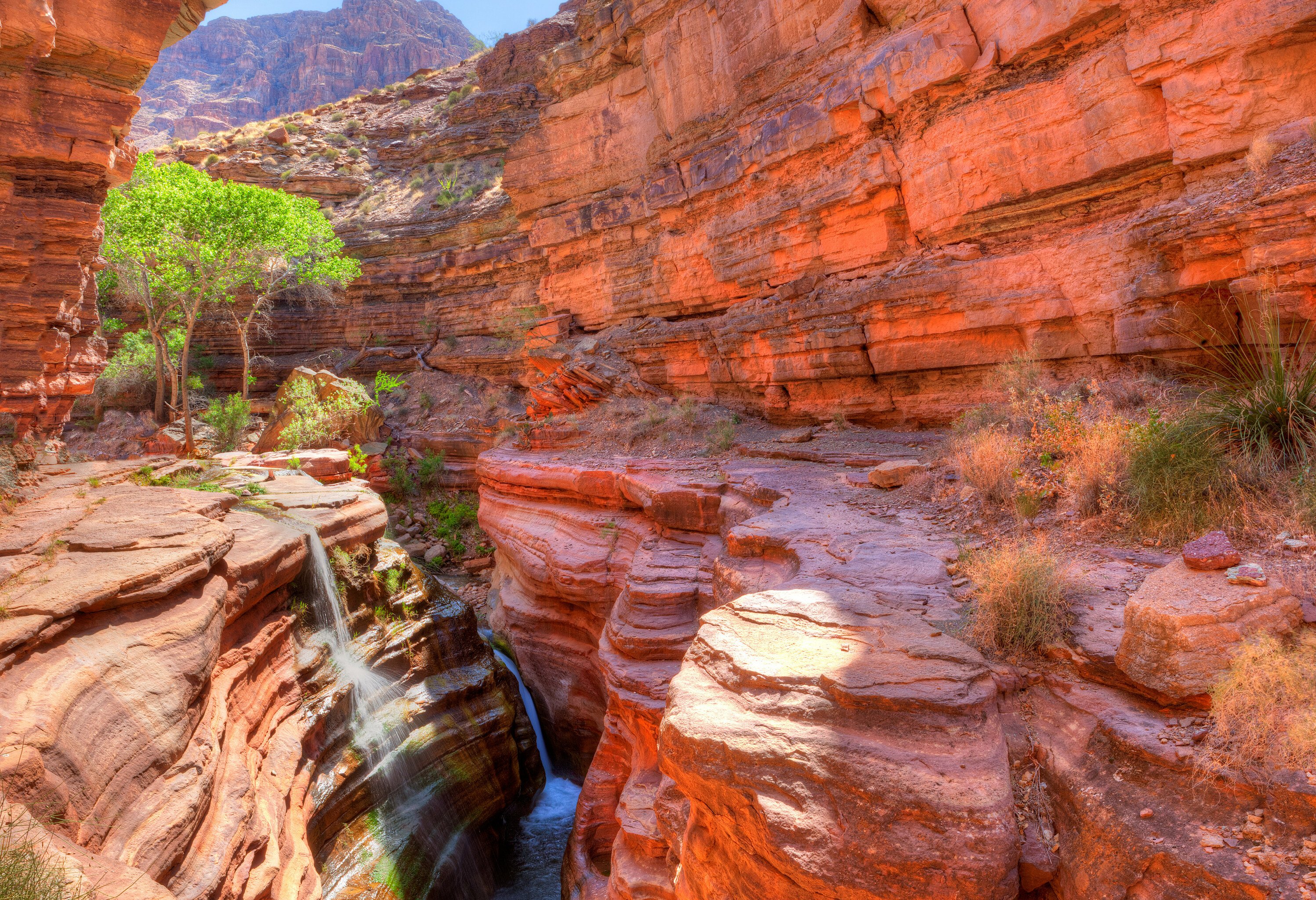 Amerika Grand Canyon