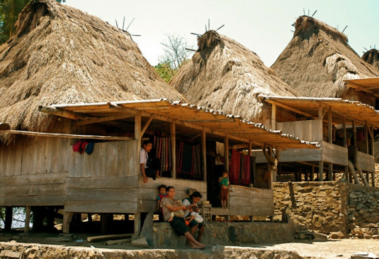 Traditionele huizen in Bena op Flores in Indonesie