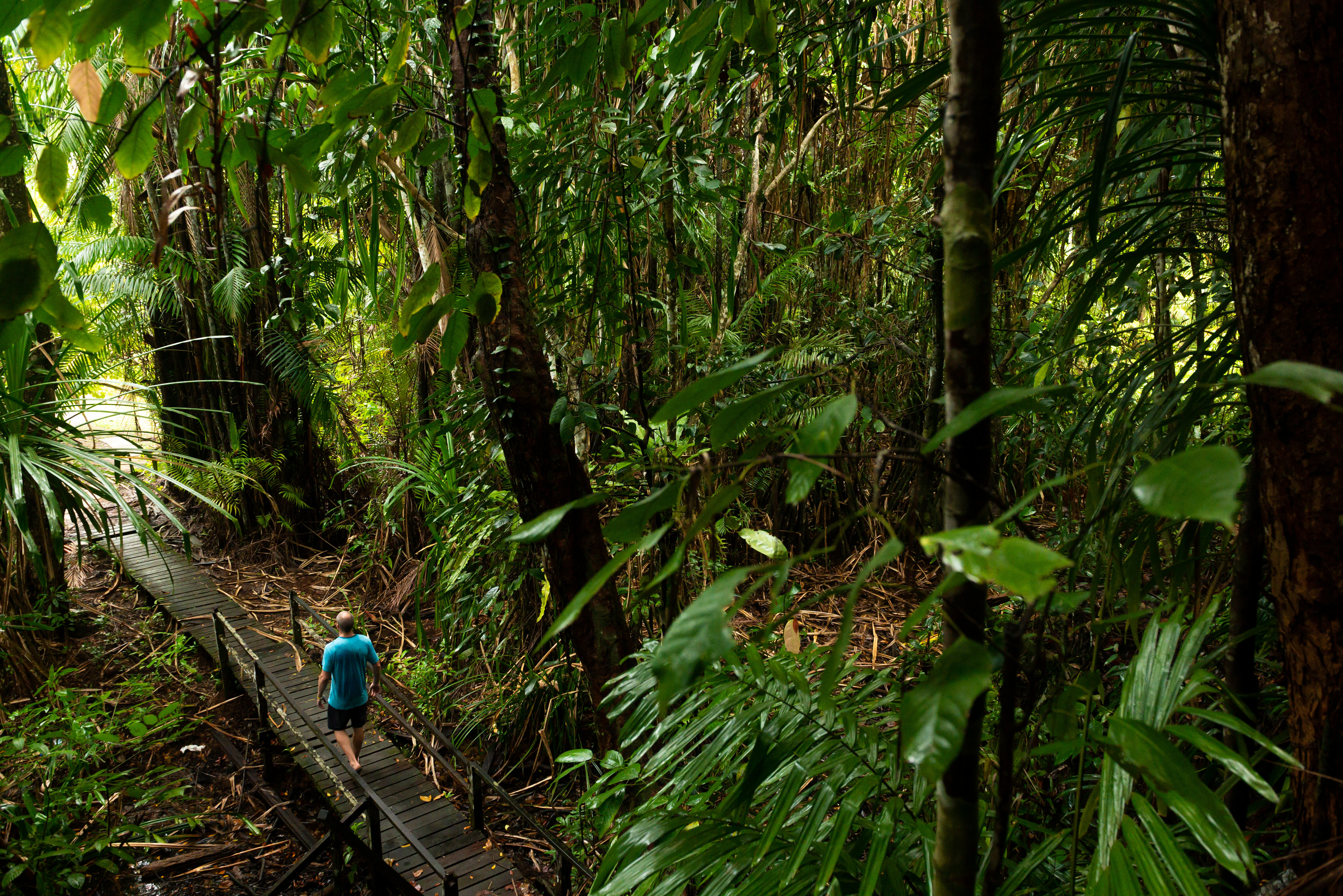 Maleisie Sarawak Borneo Bako National Park