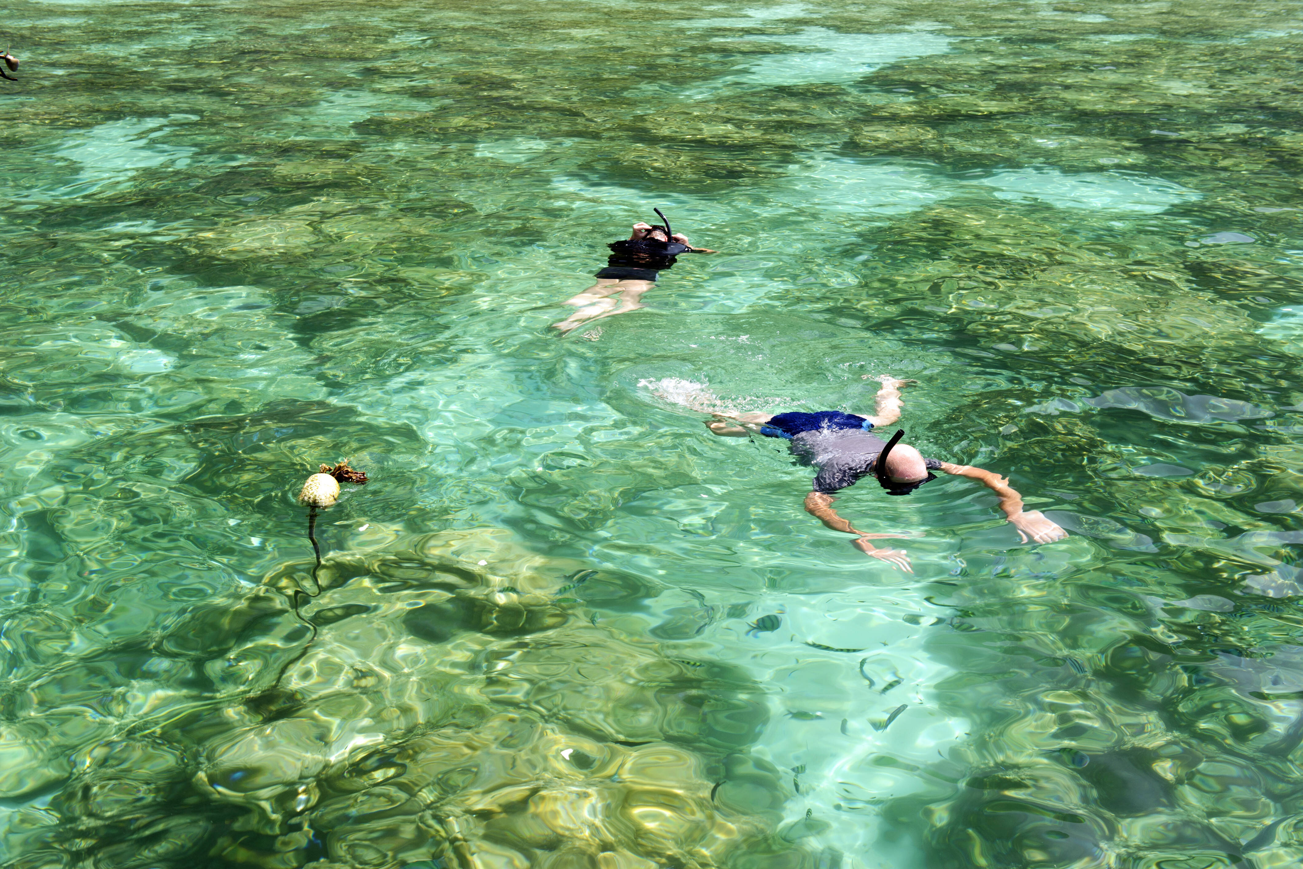 Thailand Snorkelen Andaman Zee