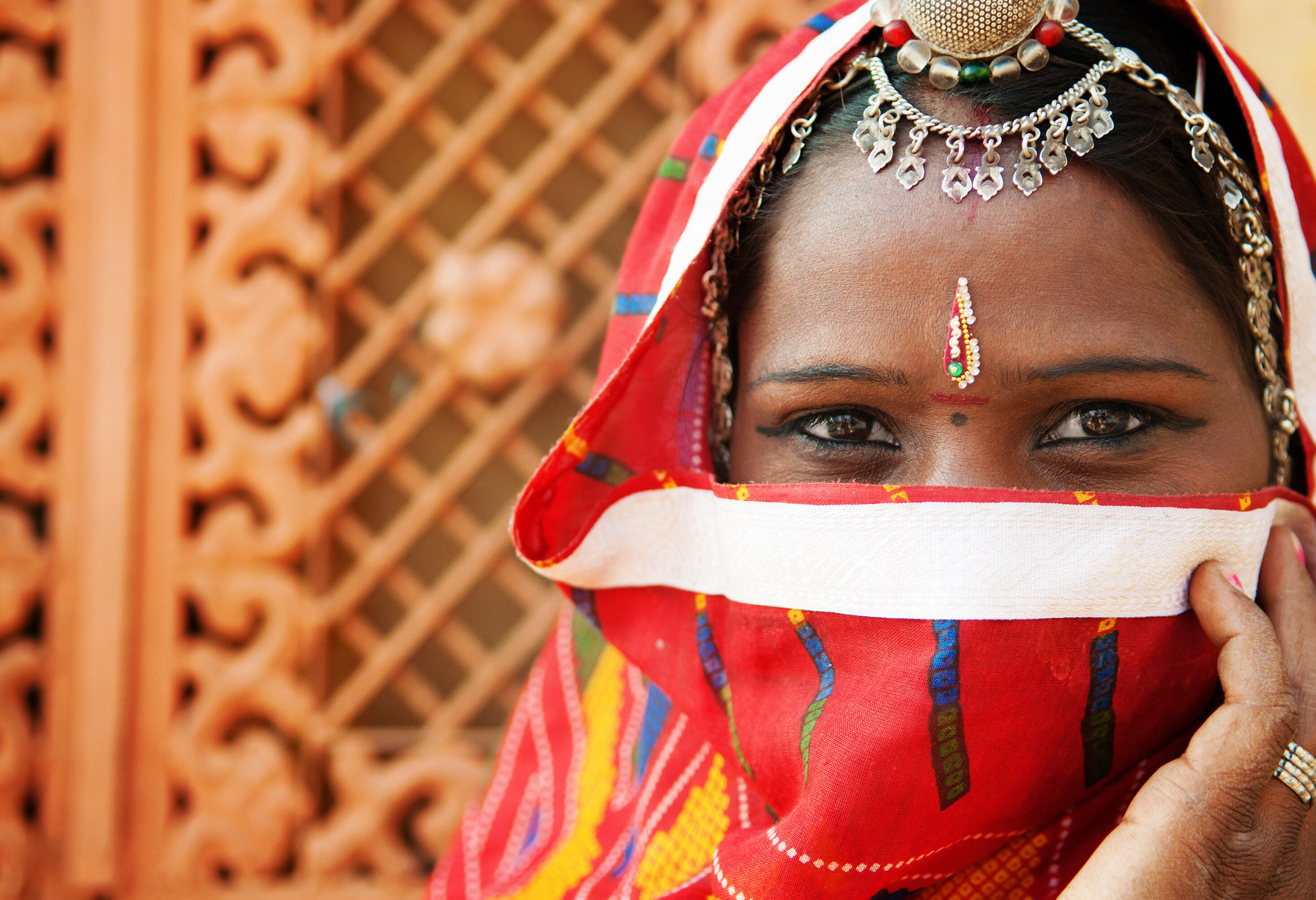 India Vrouw Sari