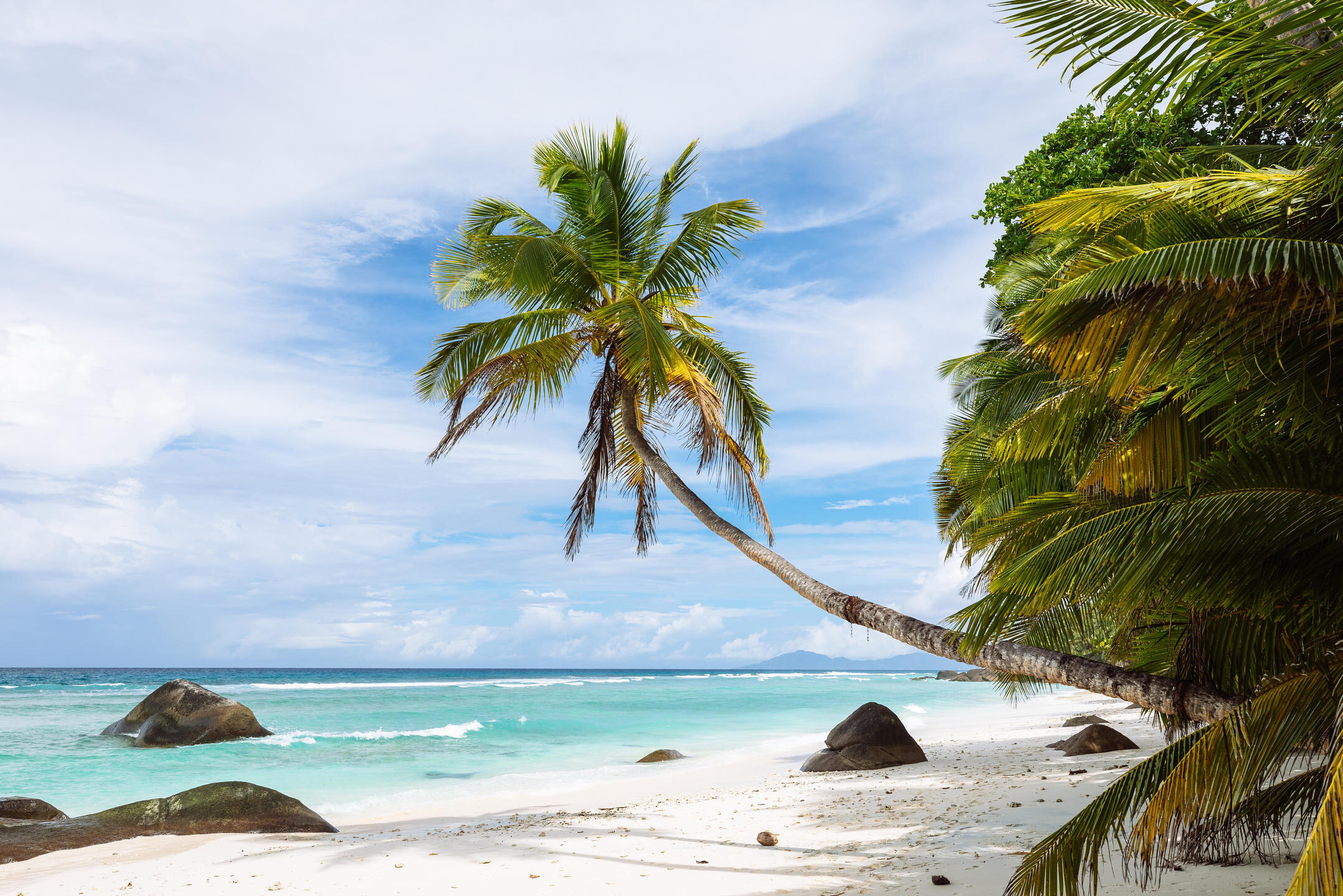 Hilton Labriz Silhouette