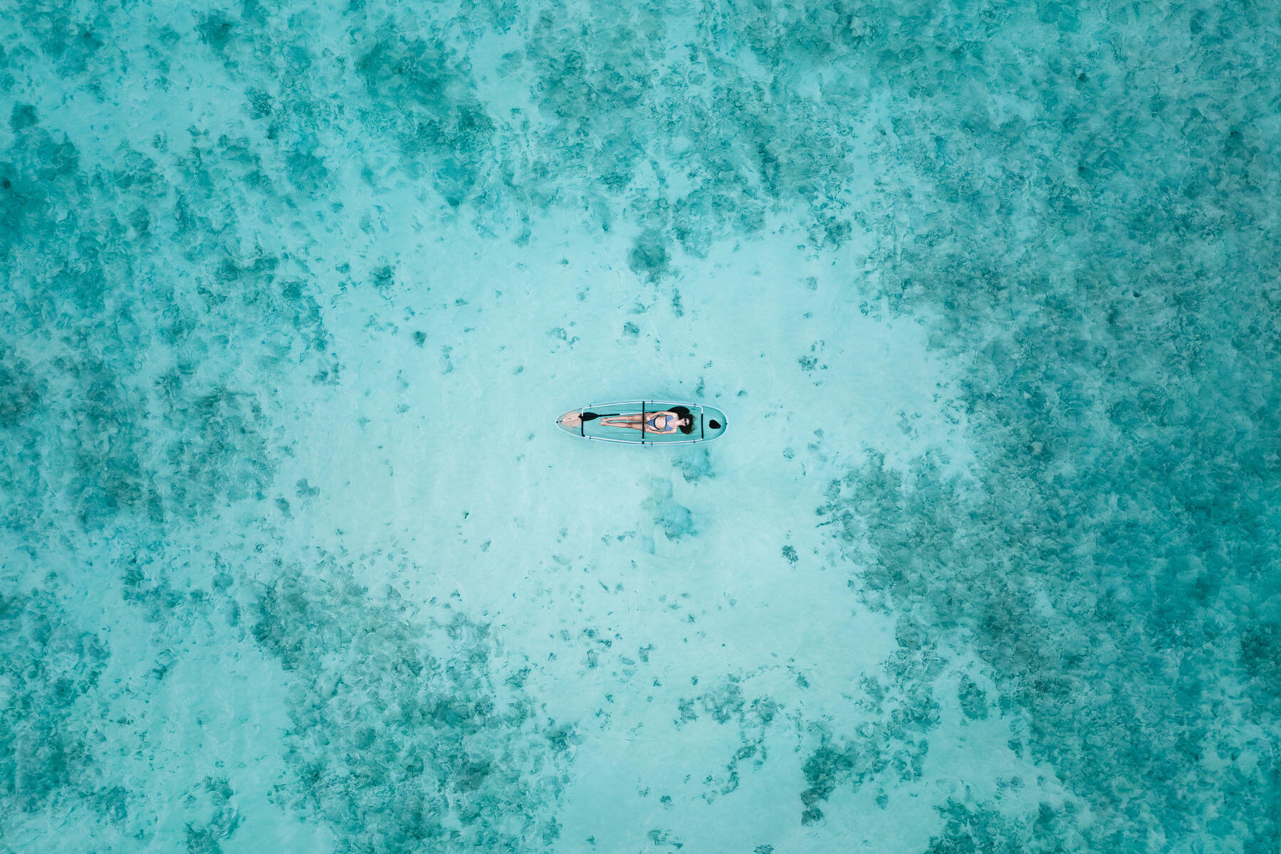 Hilton Labriz Silhouette