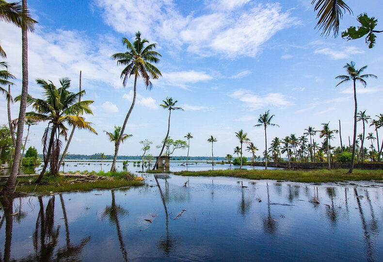 India Kerala Backwaters