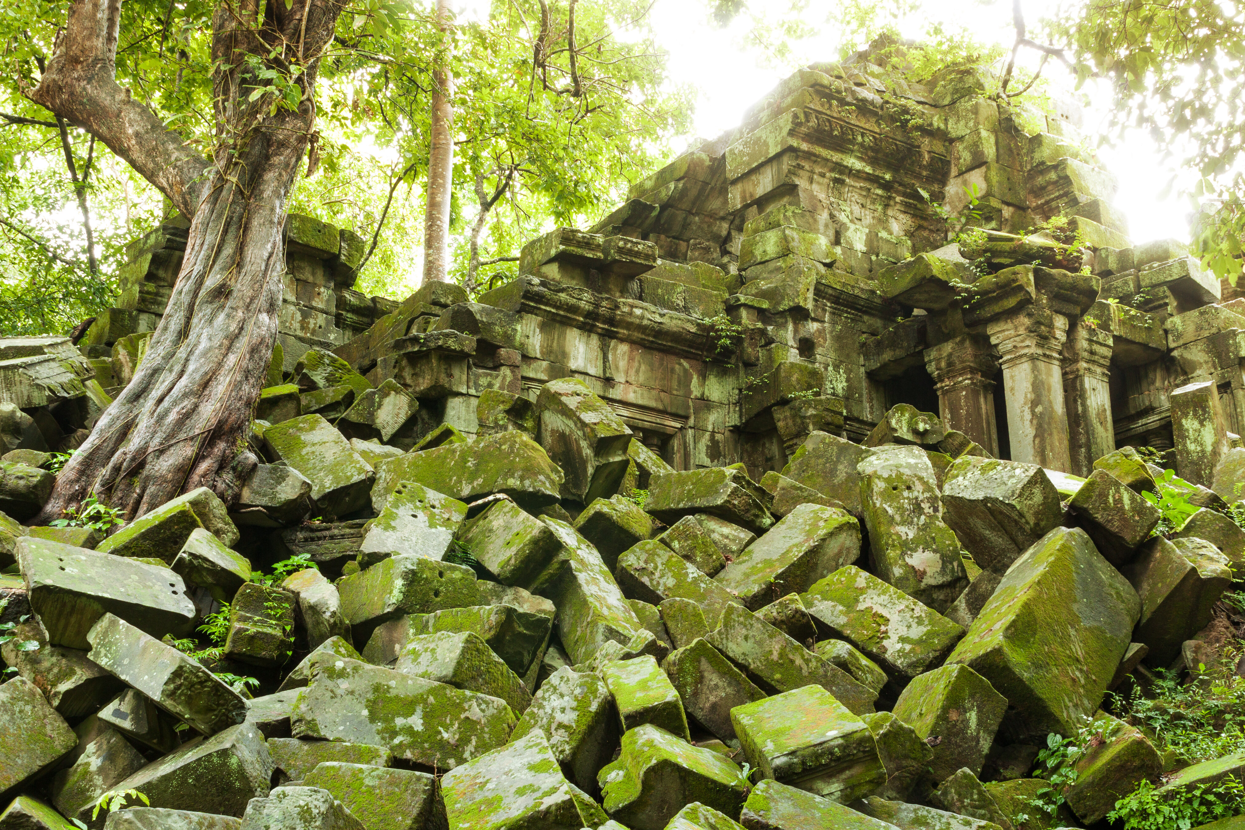 Beng Mealea