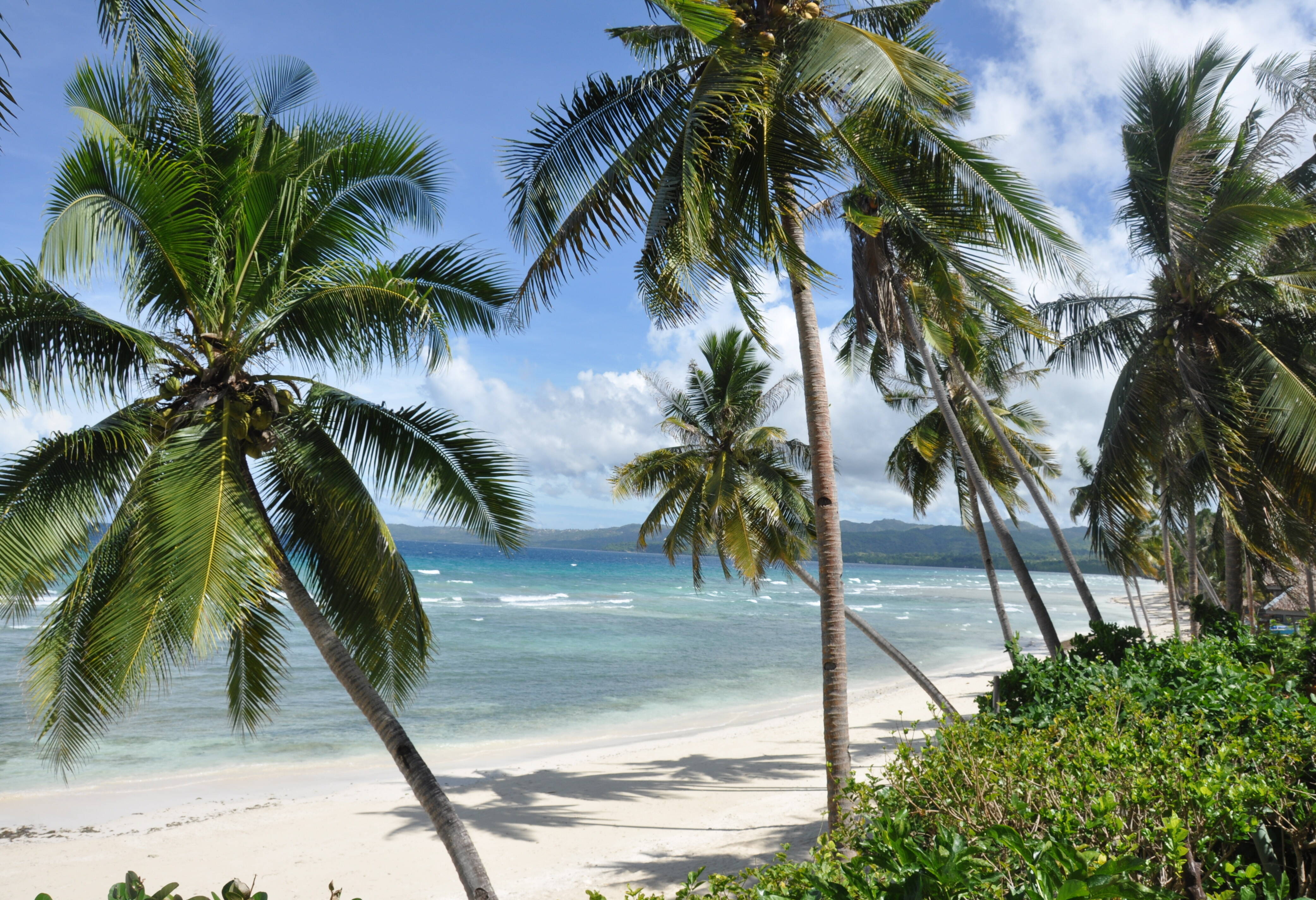 Ongerept palmenstrand op Siquijor