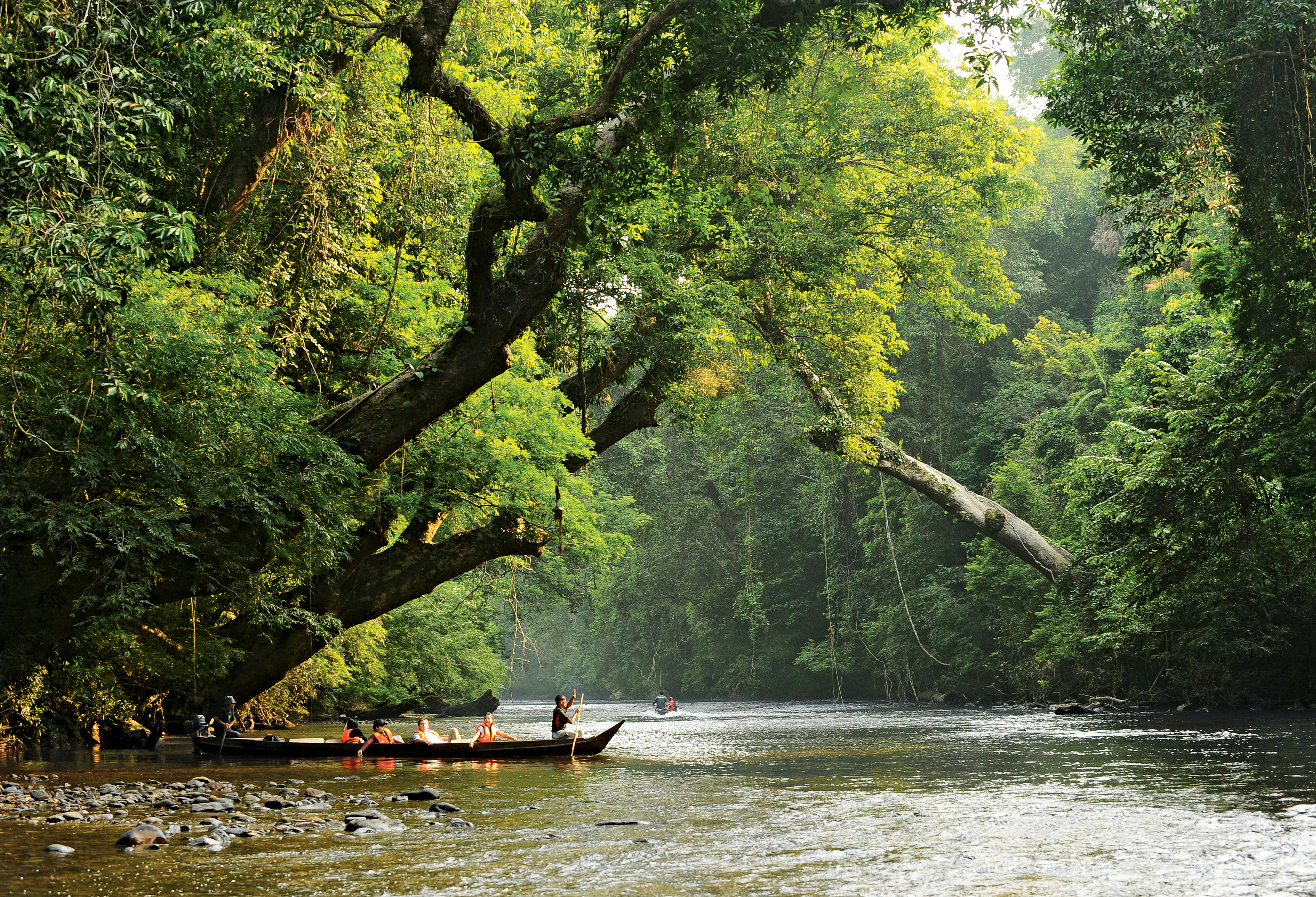 Maleisie Taman Negara Boottocht